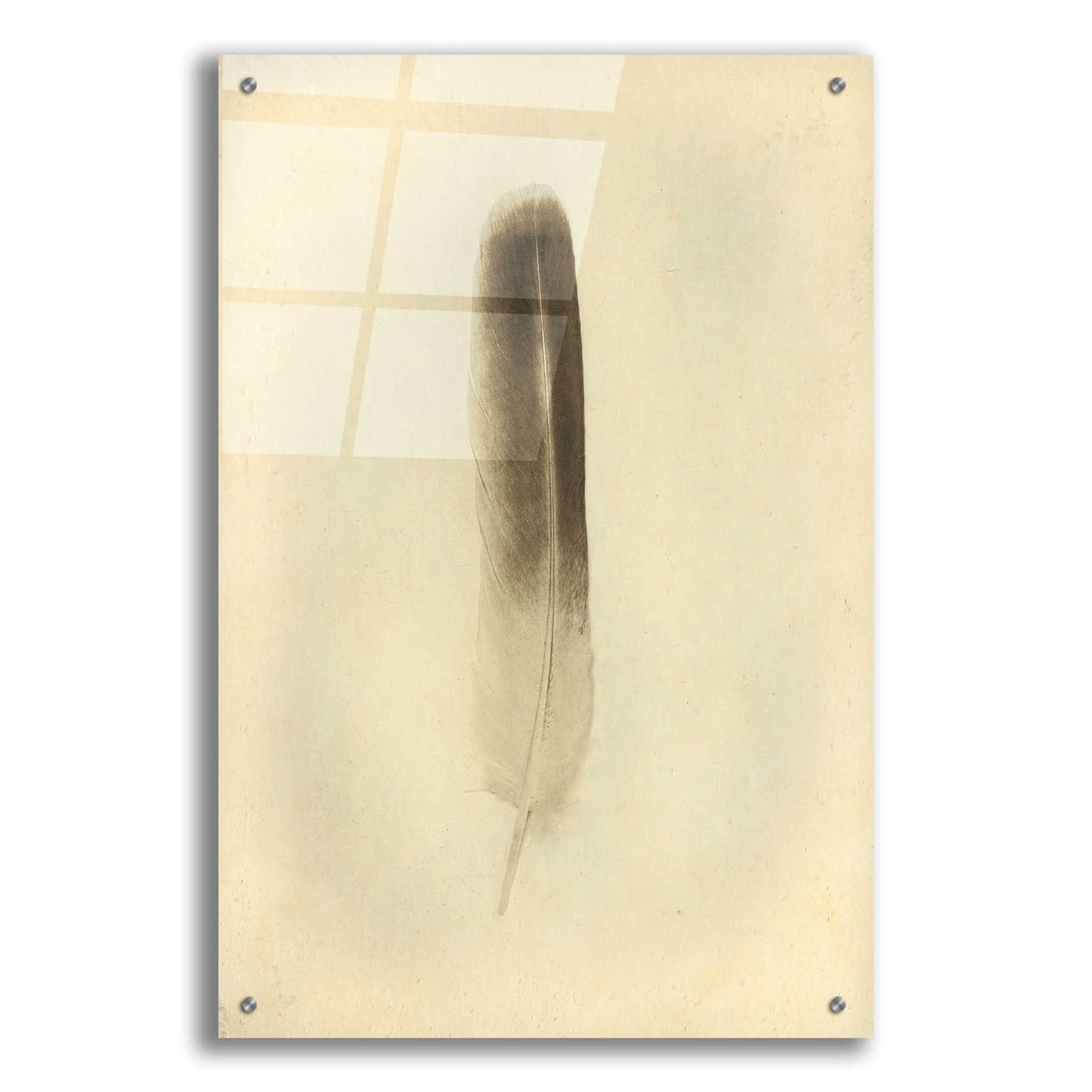 Epic Art 'Feather II Vintage' by Debra Van Swearingen, Acrylic Glass Wall Art,24x36