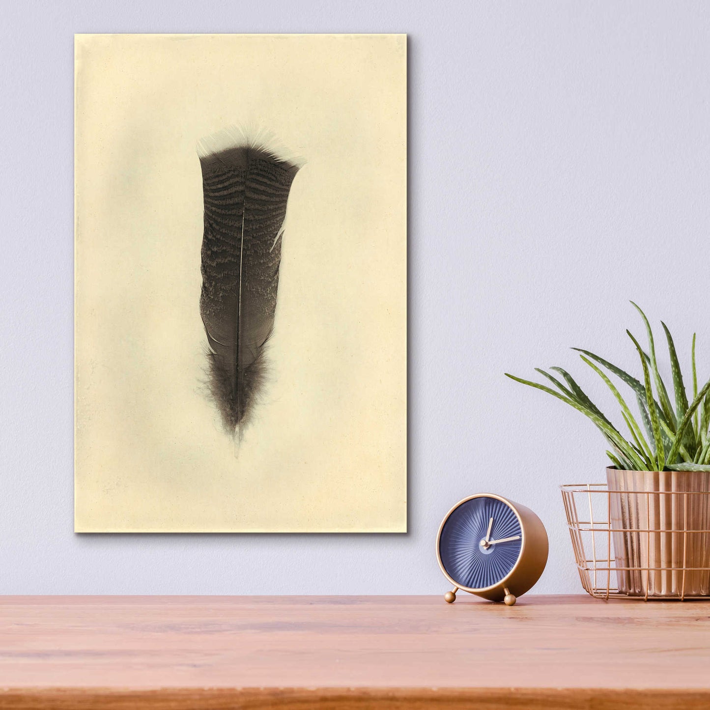 Epic Art 'Feather III Vintage' by Debra Van Swearingen, Acrylic Glass Wall Art,12x16