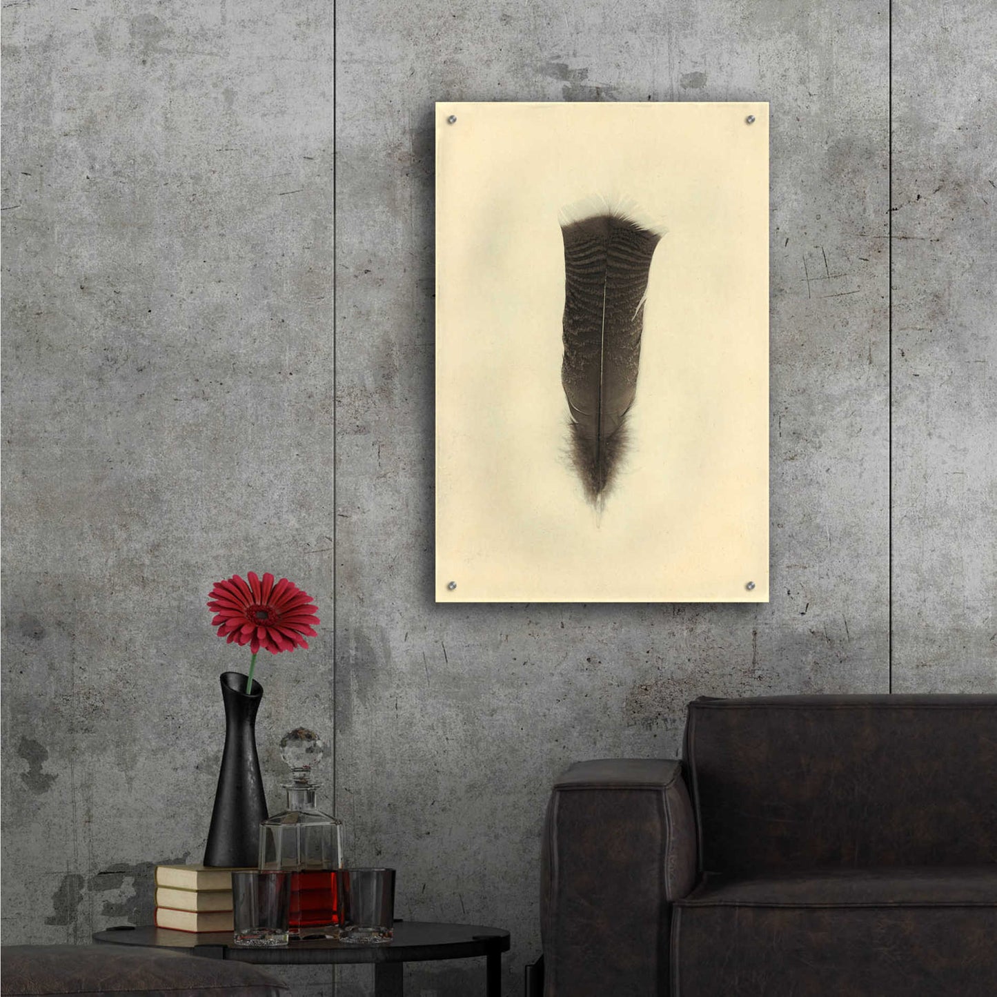 Epic Art 'Feather III Vintage' by Debra Van Swearingen, Acrylic Glass Wall Art,24x36