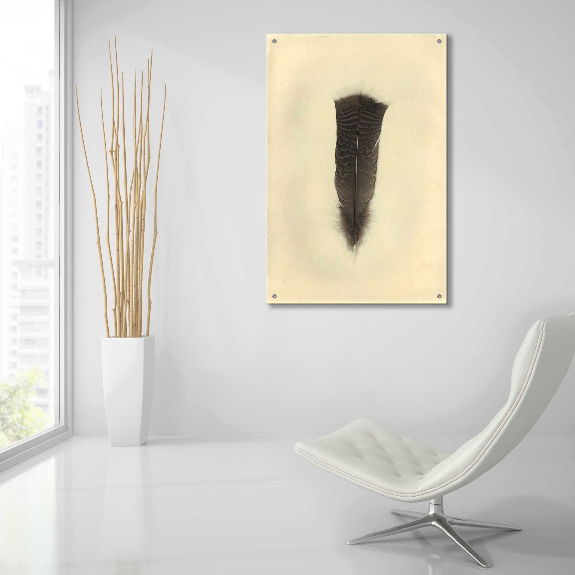 Epic Art 'Feather III Vintage' by Debra Van Swearingen, Acrylic Glass Wall Art,24x36