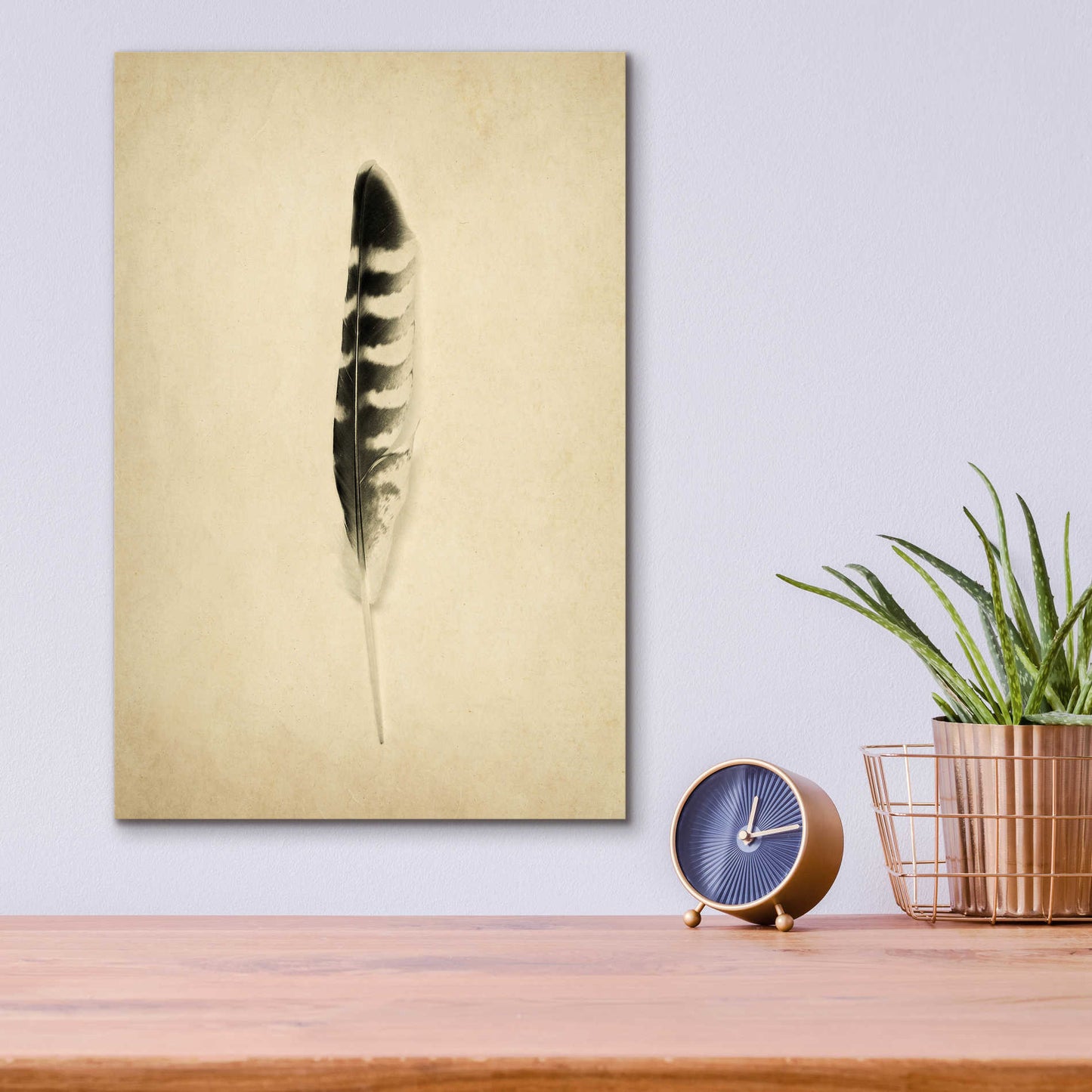 Epic Art 'Feather IV Vintage' by Debra Van Swearingen, Acrylic Glass Wall Art,12x16