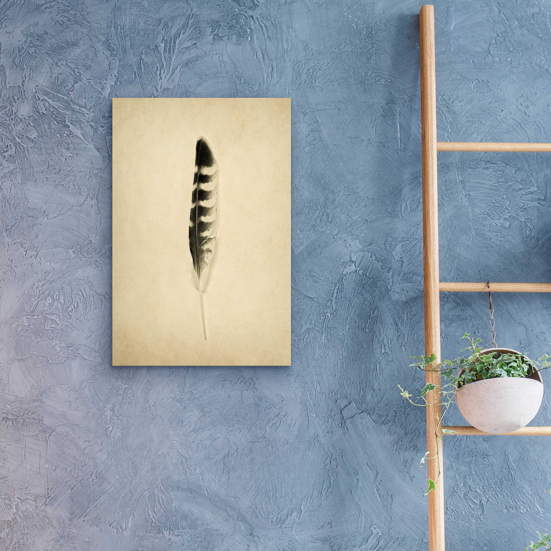 Epic Art 'Feather IV Vintage' by Debra Van Swearingen, Acrylic Glass Wall Art,16x24