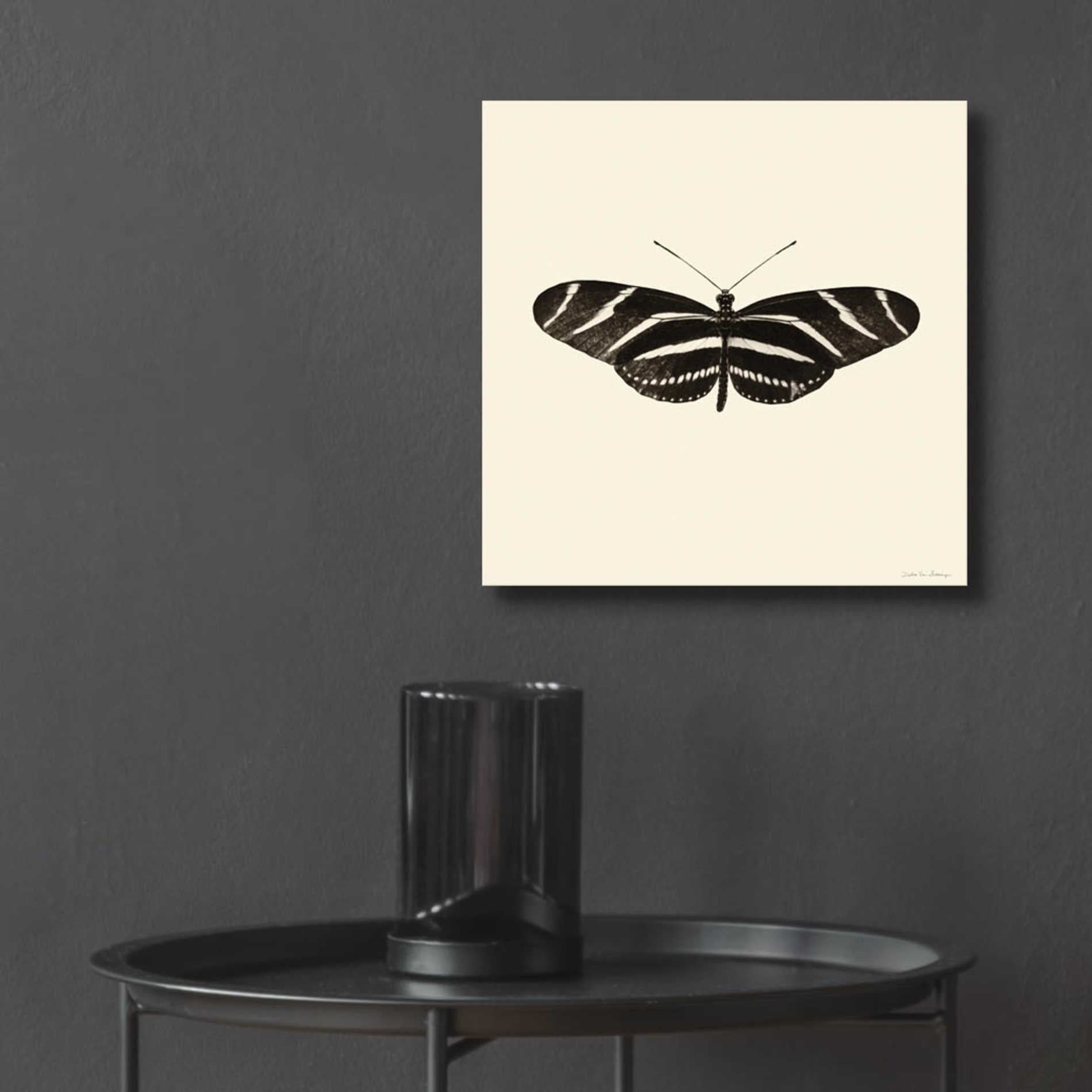 Epic Art 'Butterfly IX B&W' by Debra Van Swearingen, Acrylic Glass Wall Art,12x12