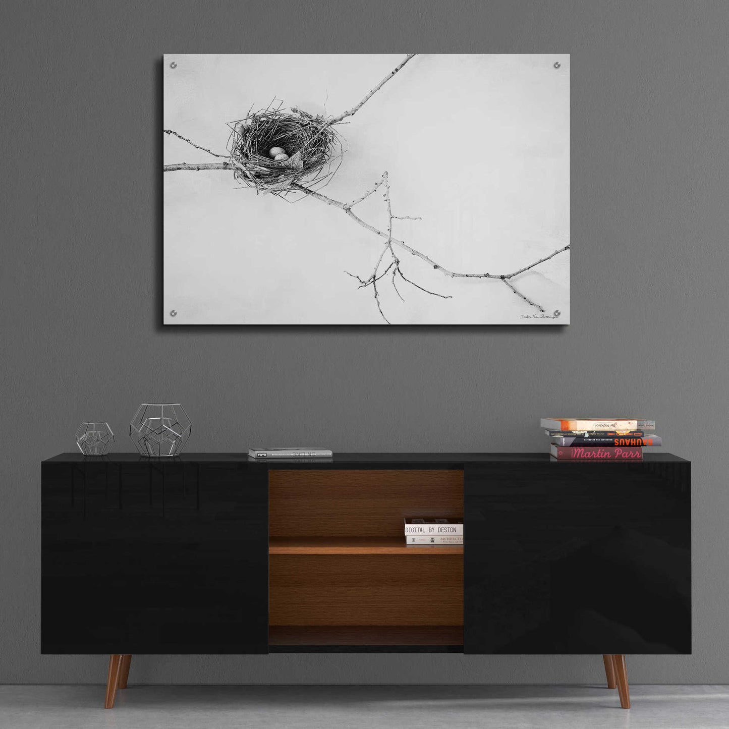 Epic Art 'Nest and Branch I' by Debra Van Swearingen, Acrylic Glass Wall Art,36x24