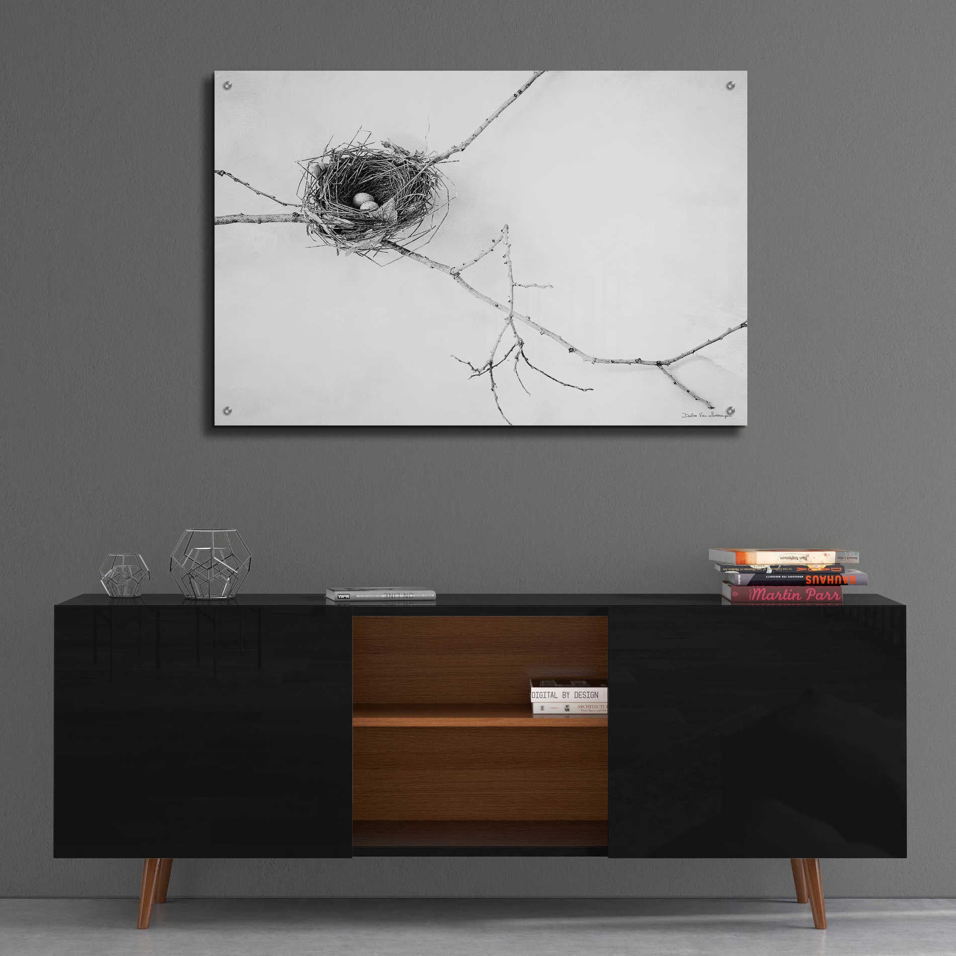 Epic Art 'Nest and Branch I' by Debra Van Swearingen, Acrylic Glass Wall Art,36x24