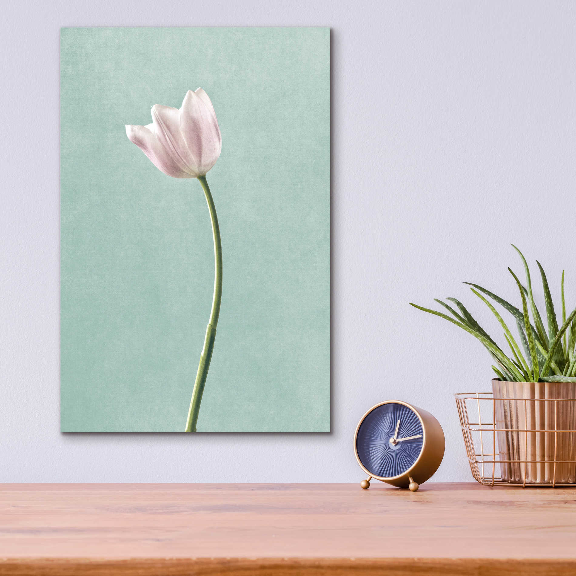 Epic Art 'Light Tulips I Harbor Gray' by Debra Van Swearingen, Acrylic Glass Wall Art,12x16