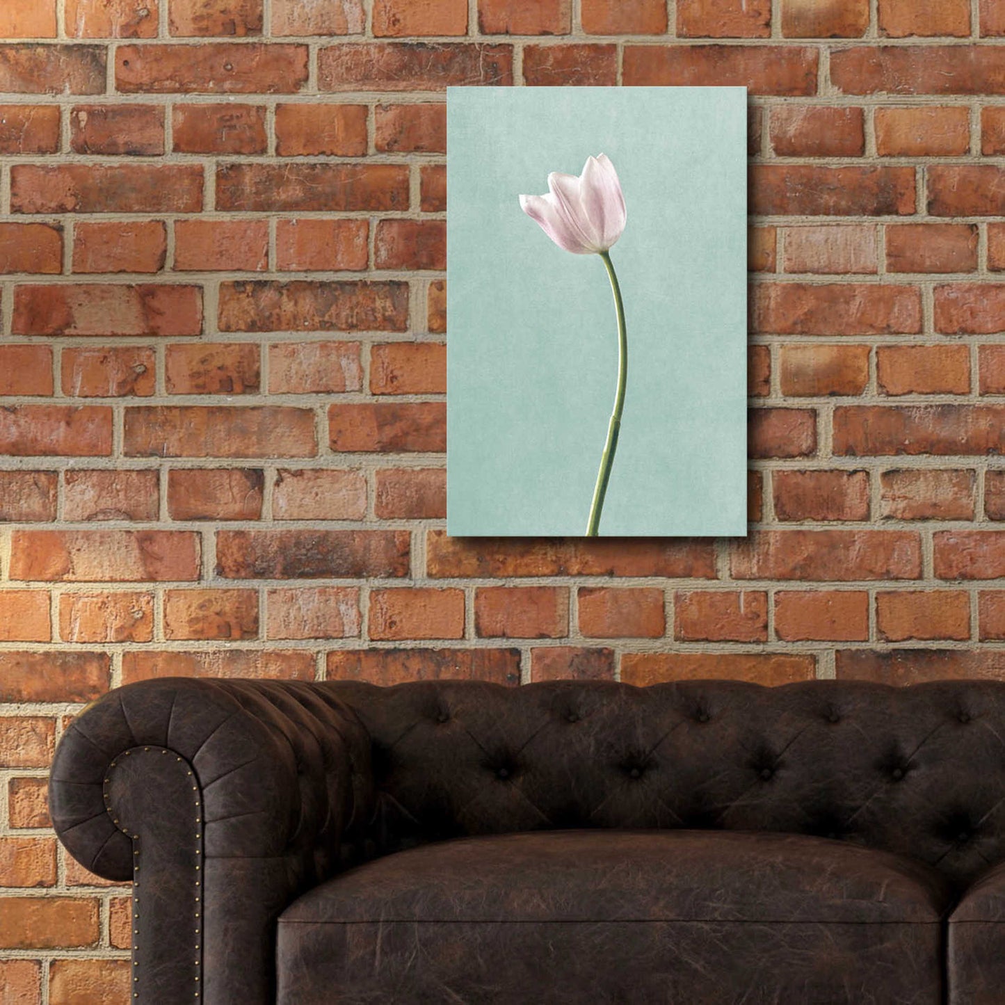 Epic Art 'Light Tulips I Harbor Gray' by Debra Van Swearingen, Acrylic Glass Wall Art,16x24