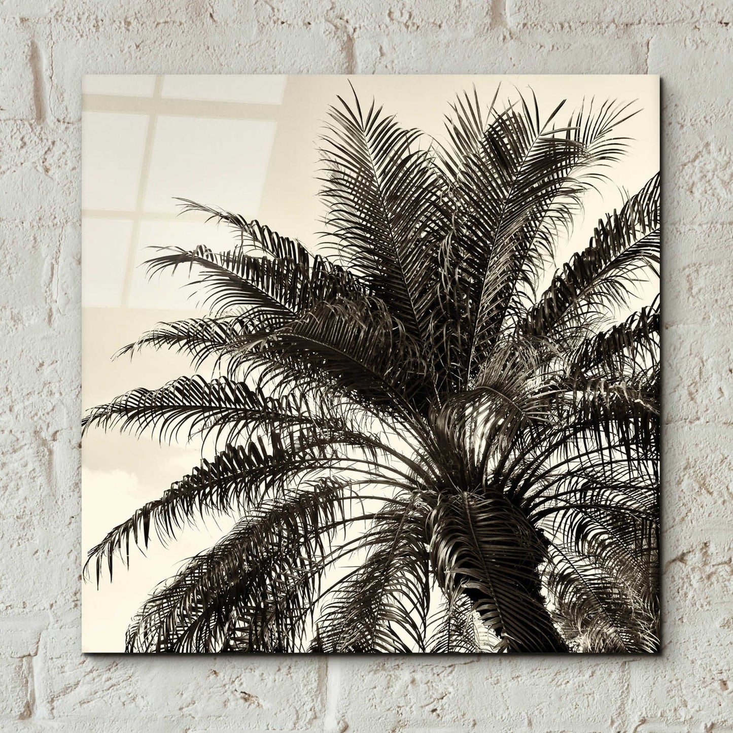 Epic Art 'Palm Tree Sepia I' by Debra Van Swearingen, Acrylic Glass Wall Art,12x12