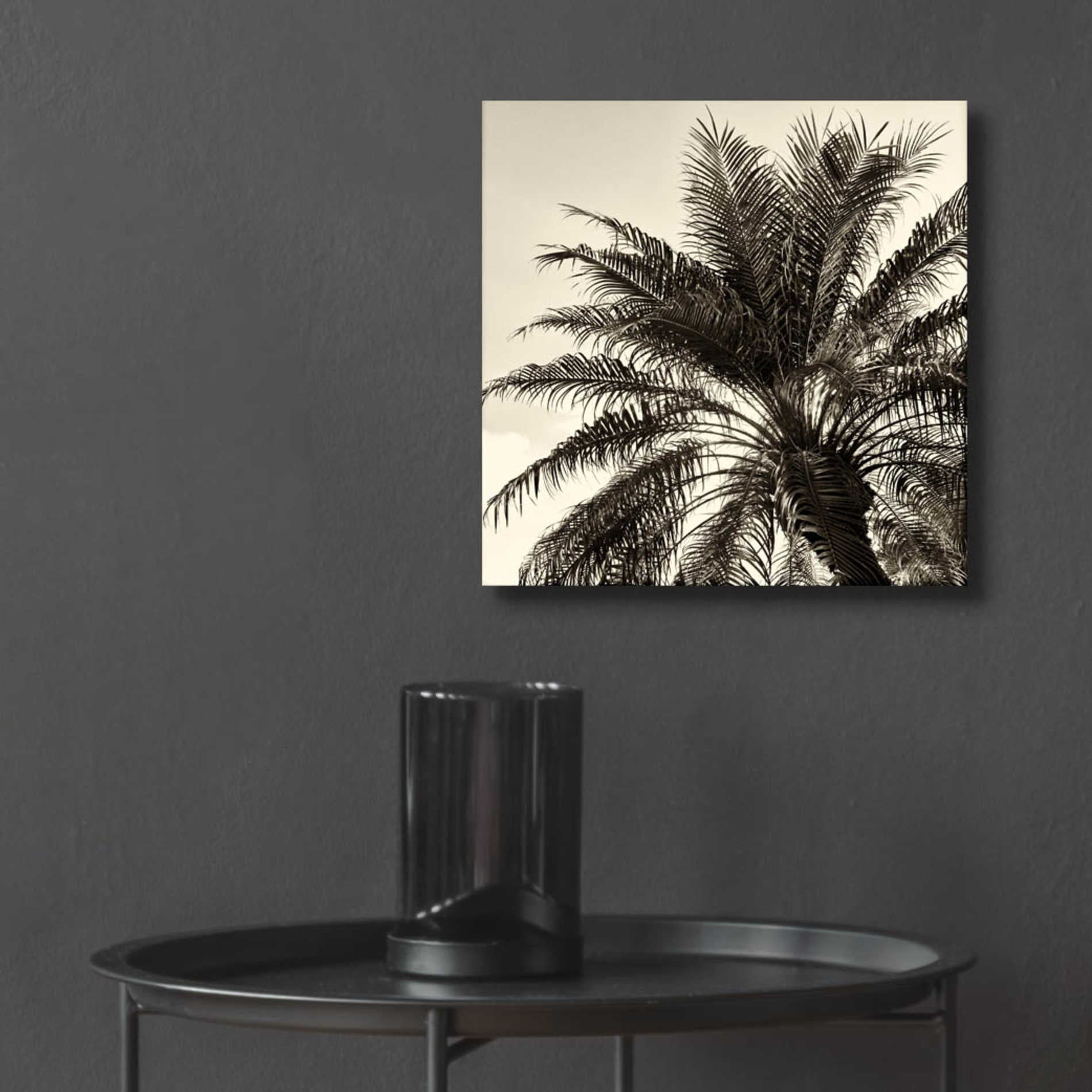 Epic Art 'Palm Tree Sepia I' by Debra Van Swearingen, Acrylic Glass Wall Art,12x12