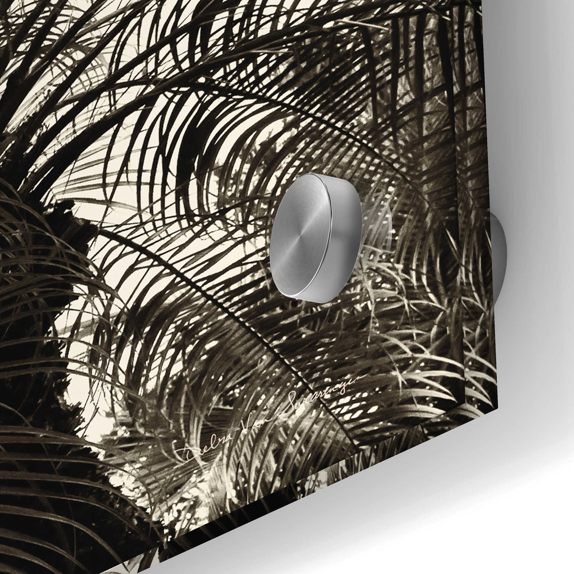 Epic Art 'Palm Tree Sepia I' by Debra Van Swearingen, Acrylic Glass Wall Art,24x24