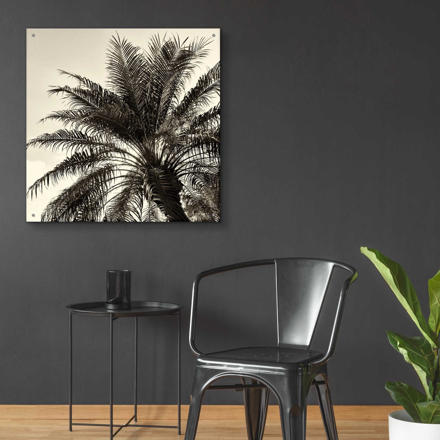 Epic Art 'Palm Tree Sepia I' by Debra Van Swearingen, Acrylic Glass Wall Art,36x36