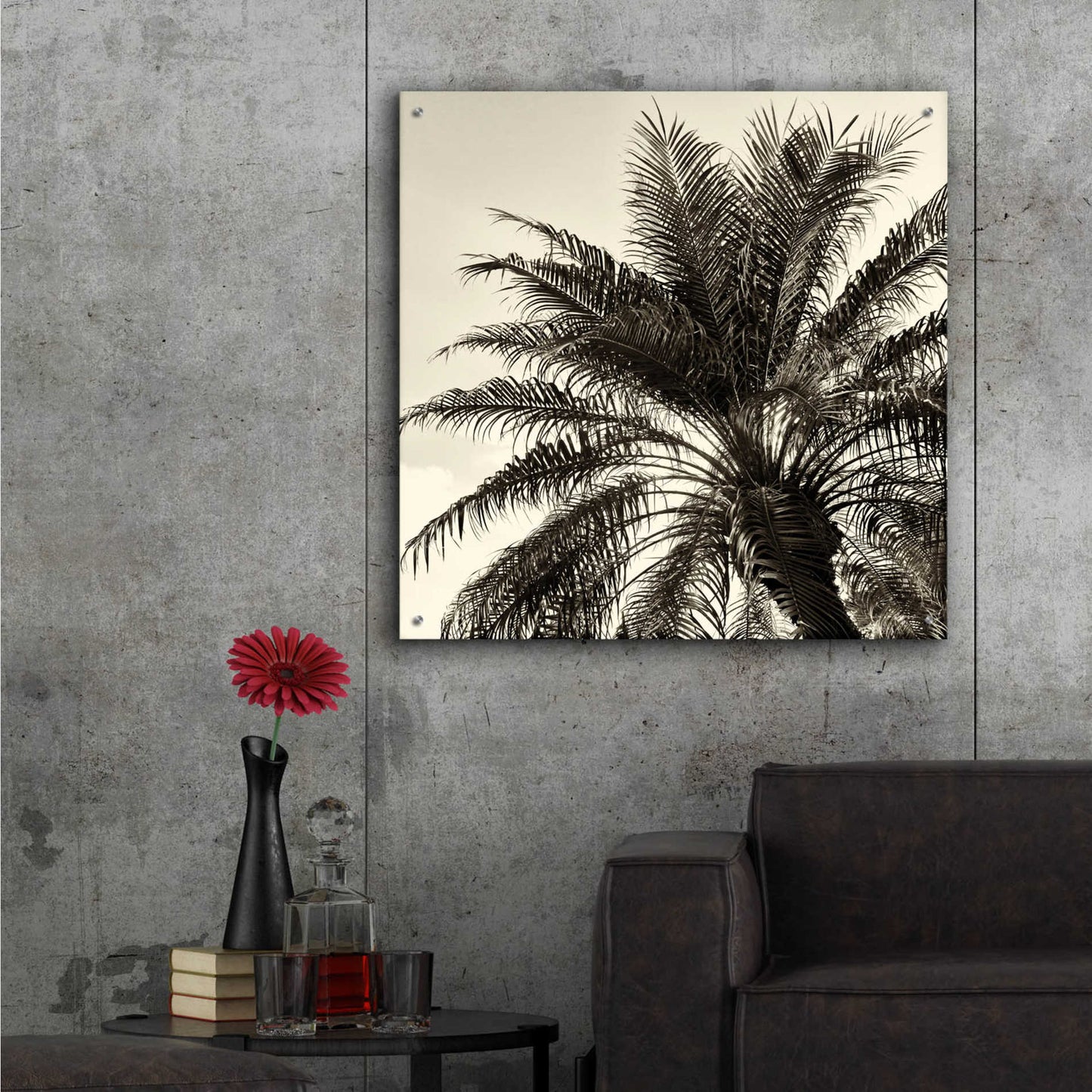 Epic Art 'Palm Tree Sepia I' by Debra Van Swearingen, Acrylic Glass Wall Art,36x36