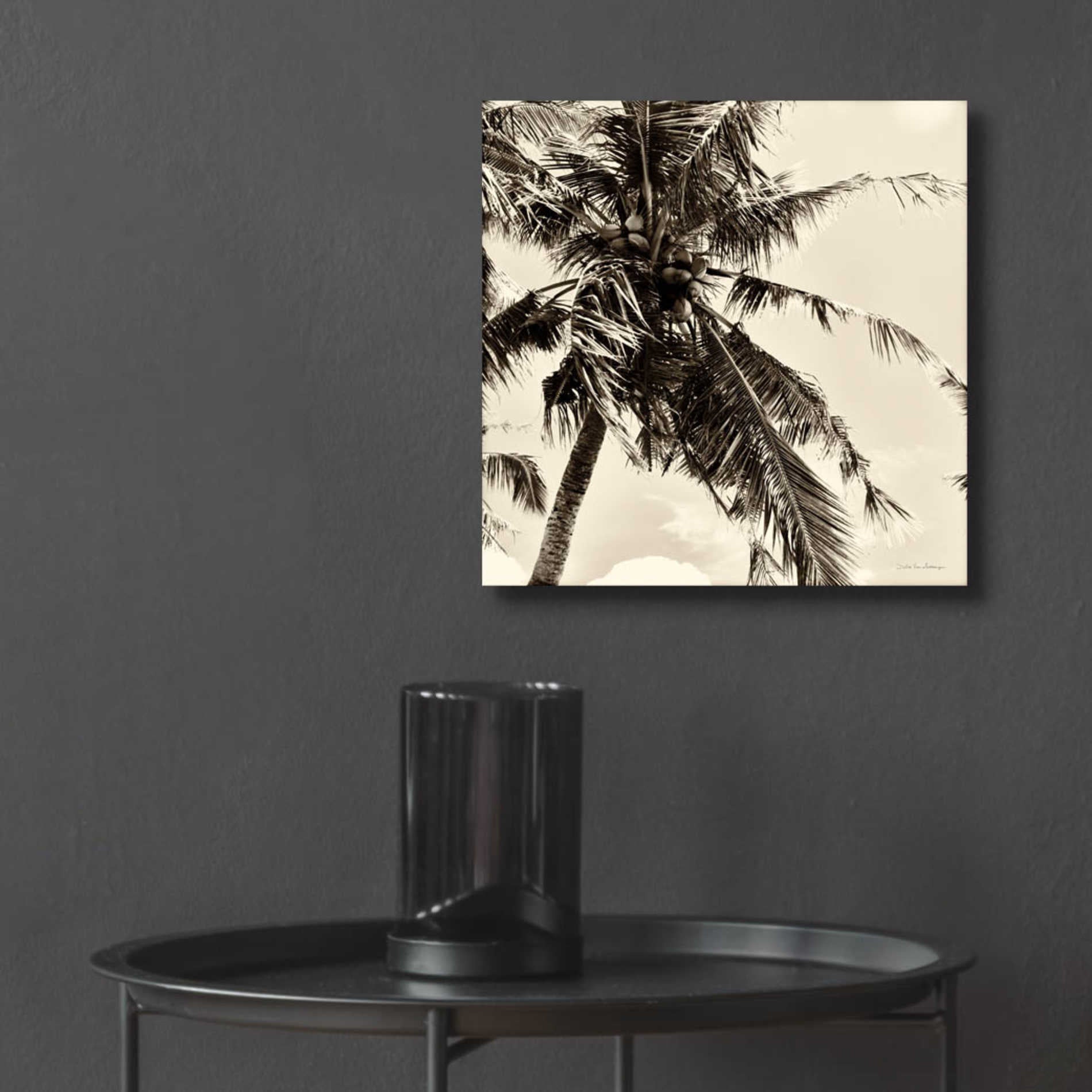 Epic Art 'Palm Tree Sepia II' by Debra Van Swearingen, Acrylic Glass Wall Art,12x12