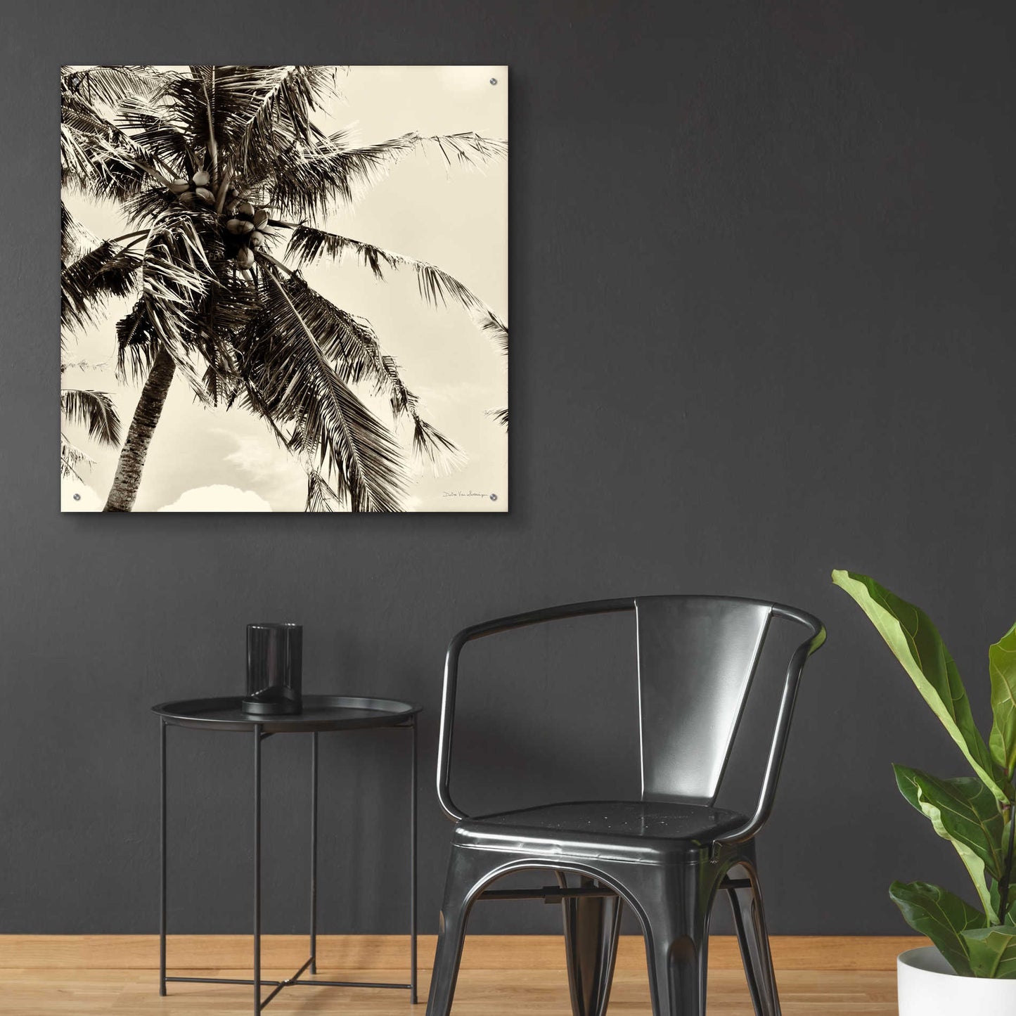 Epic Art 'Palm Tree Sepia II' by Debra Van Swearingen, Acrylic Glass Wall Art,36x36