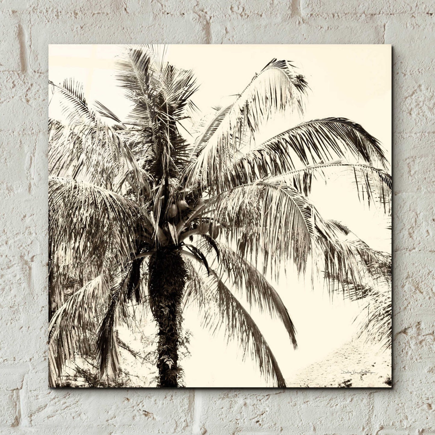 Epic Art 'Palm Tree Sepia III' by Debra Van Swearingen, Acrylic Glass Wall Art,12x12