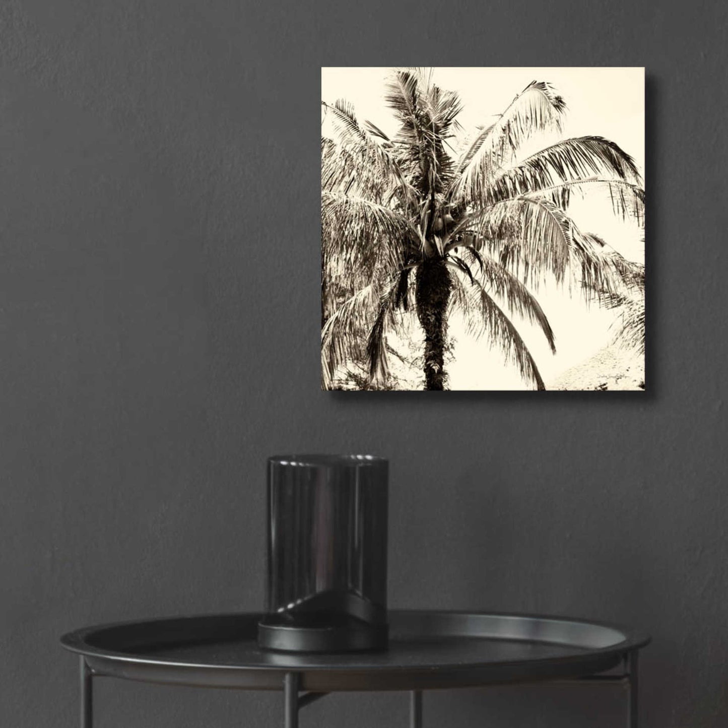 Epic Art 'Palm Tree Sepia III' by Debra Van Swearingen, Acrylic Glass Wall Art,12x12