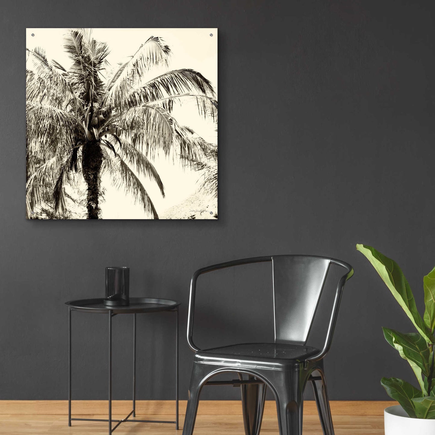 Epic Art 'Palm Tree Sepia III' by Debra Van Swearingen, Acrylic Glass Wall Art,36x36