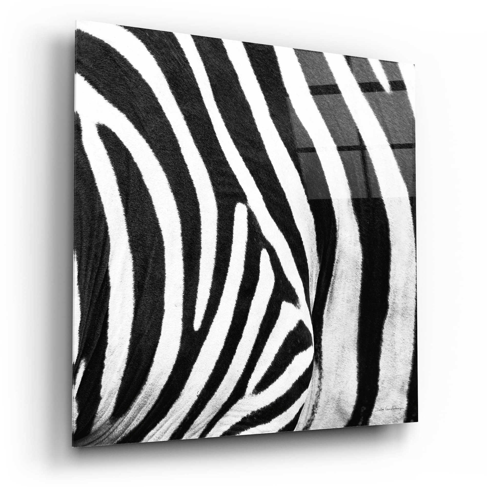 Epic Art 'Zebra IV' by Debra Van Swearingen, Acrylic Glass Wall Art,12x12