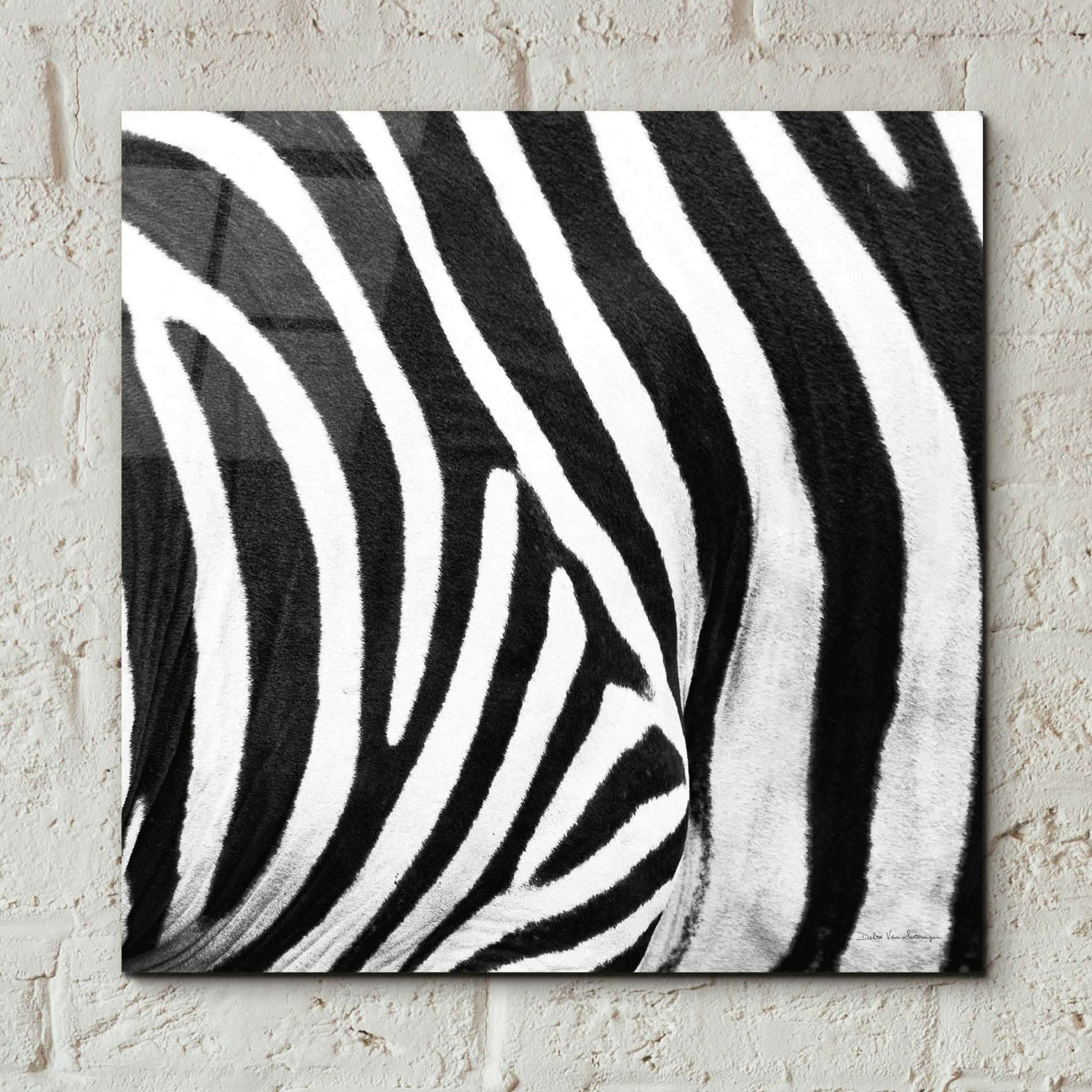 Epic Art 'Zebra IV' by Debra Van Swearingen, Acrylic Glass Wall Art,12x12