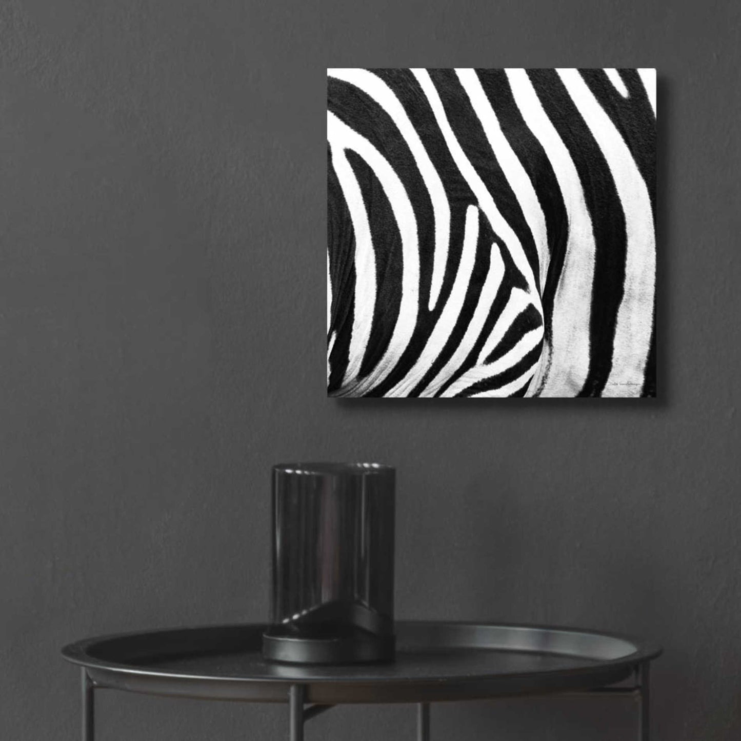 Epic Art 'Zebra IV' by Debra Van Swearingen, Acrylic Glass Wall Art,12x12