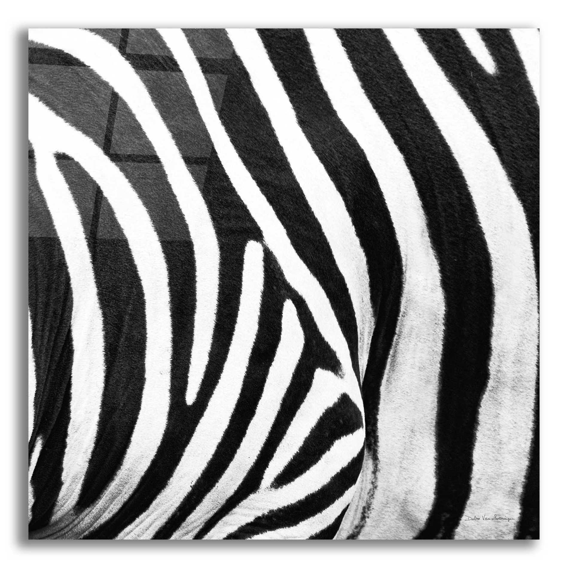 Epic Art 'Zebra IV' by Debra Van Swearingen, Acrylic Glass Wall Art,12x12