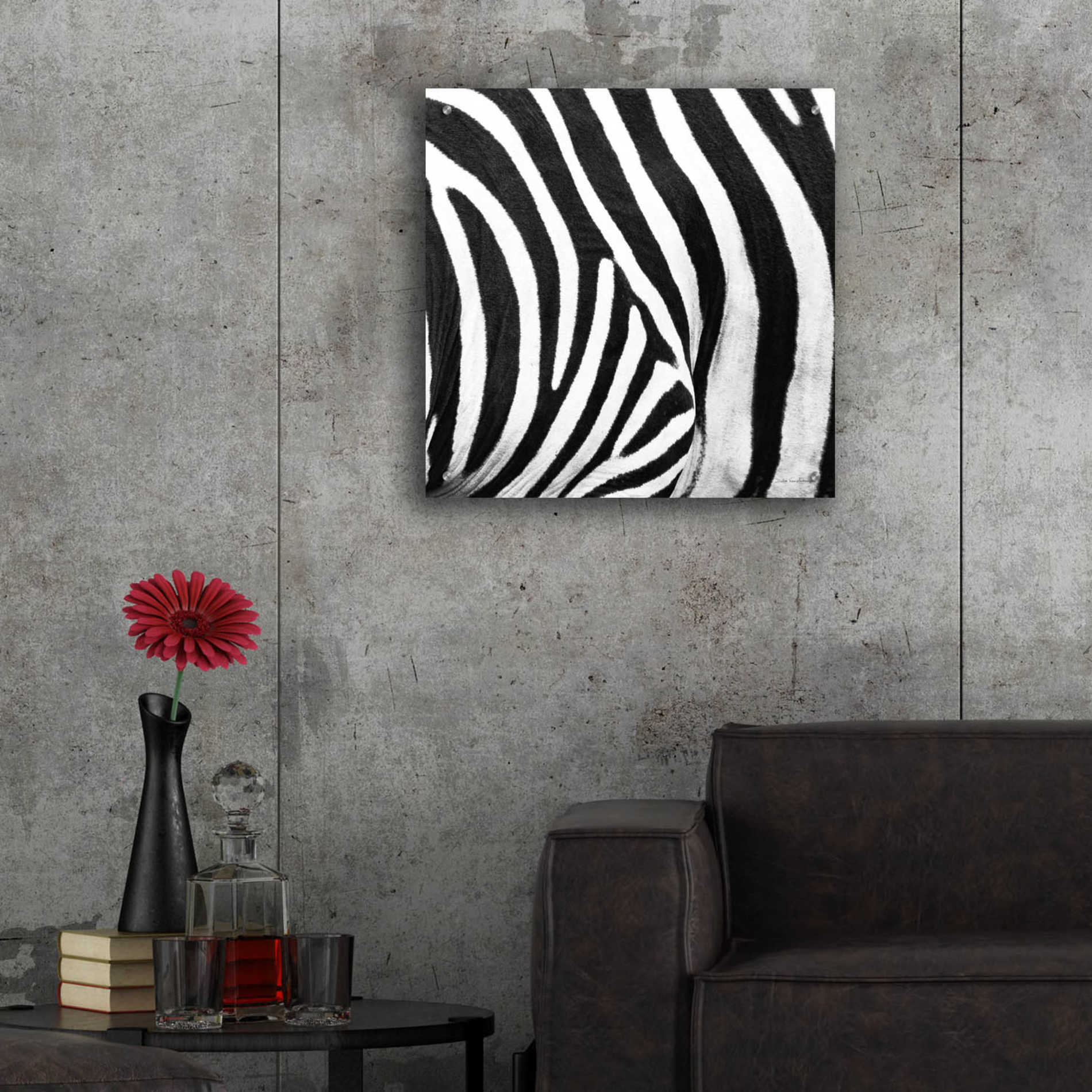 Epic Art 'Zebra IV' by Debra Van Swearingen, Acrylic Glass Wall Art,24x24