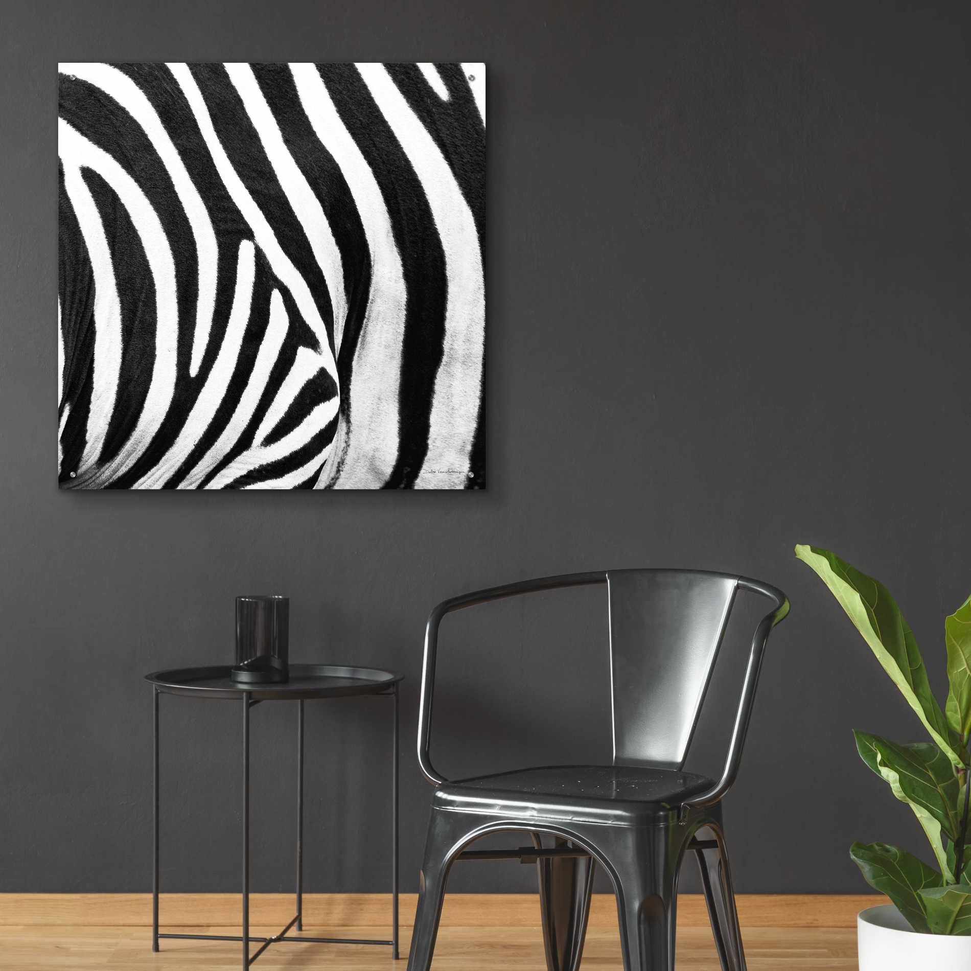 Epic Art 'Zebra IV' by Debra Van Swearingen, Acrylic Glass Wall Art,36x36