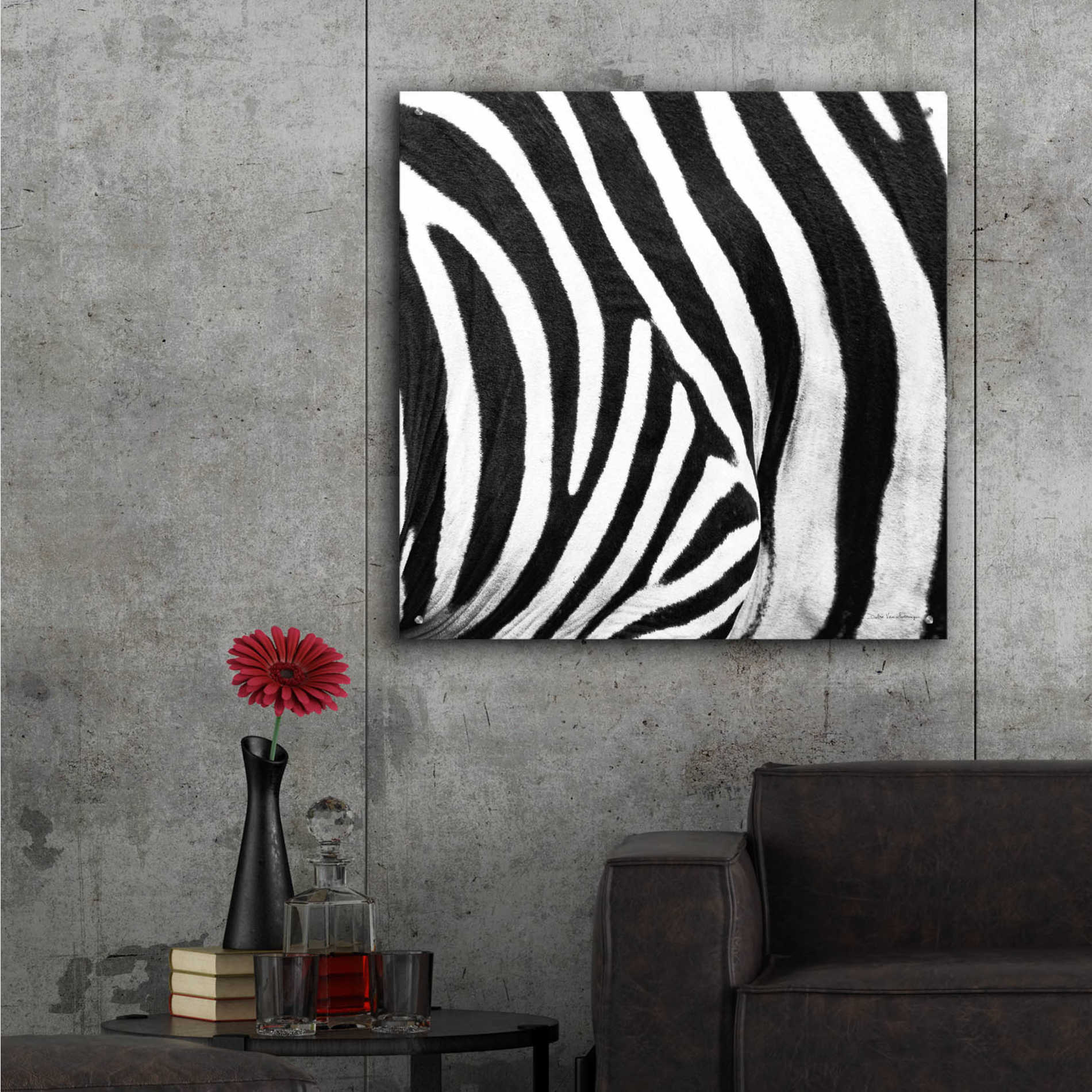 Epic Art 'Zebra IV' by Debra Van Swearingen, Acrylic Glass Wall Art,36x36