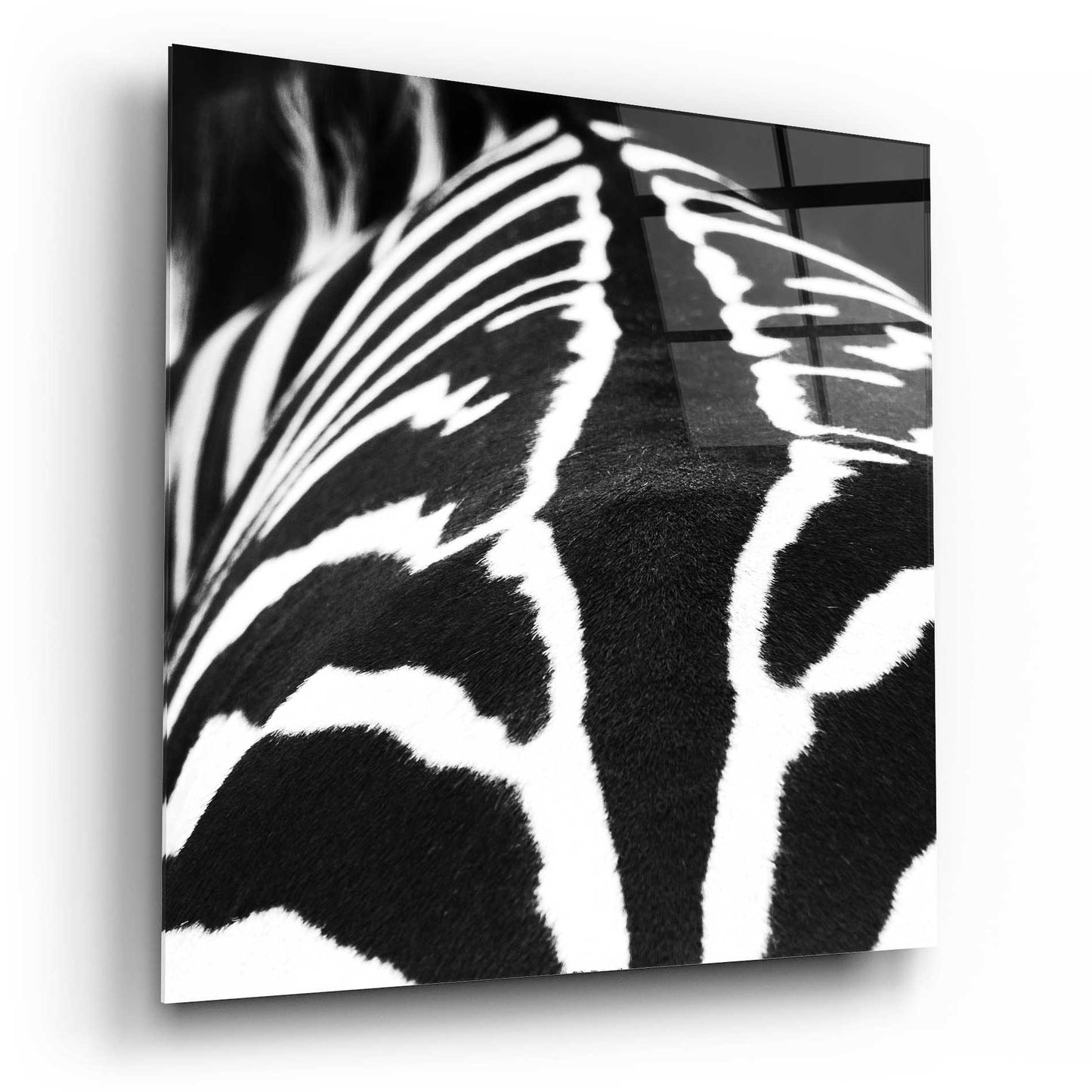 Epic Art 'Zebra V' by Debra Van Swearingen, Acrylic Glass Wall Art,12x12