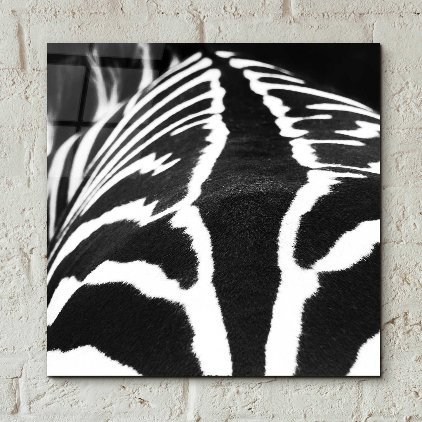 Epic Art 'Zebra V' by Debra Van Swearingen, Acrylic Glass Wall Art,12x12