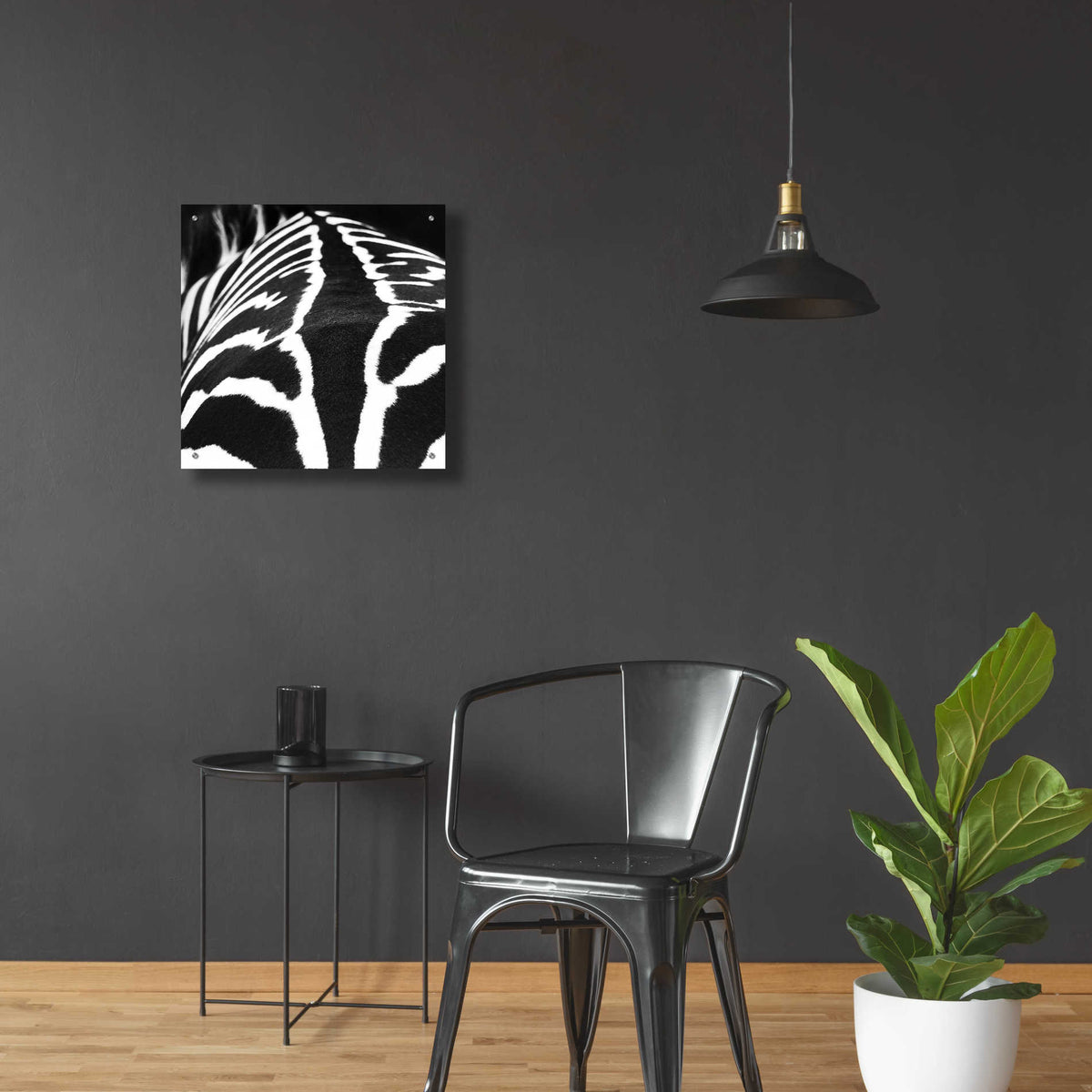 Epic Art 'Zebra V' by Debra Van Swearingen, Acrylic Glass Wall Art,24x24