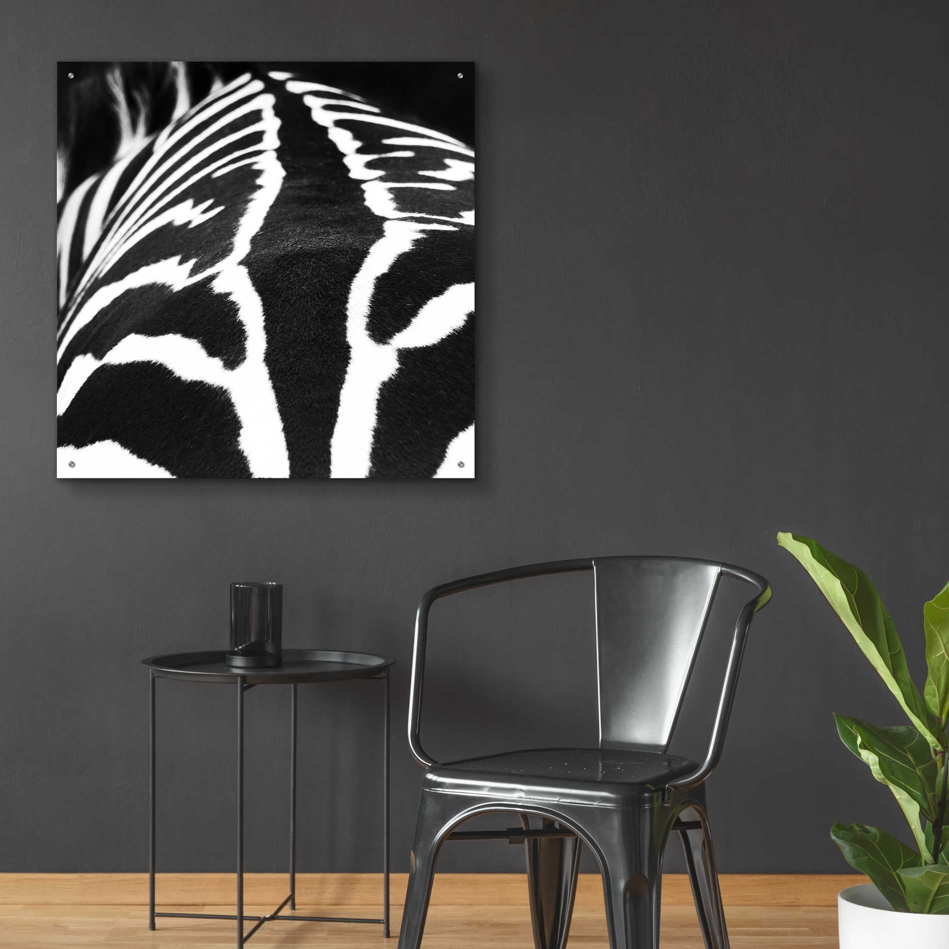 Epic Art 'Zebra V' by Debra Van Swearingen, Acrylic Glass Wall Art,36x36