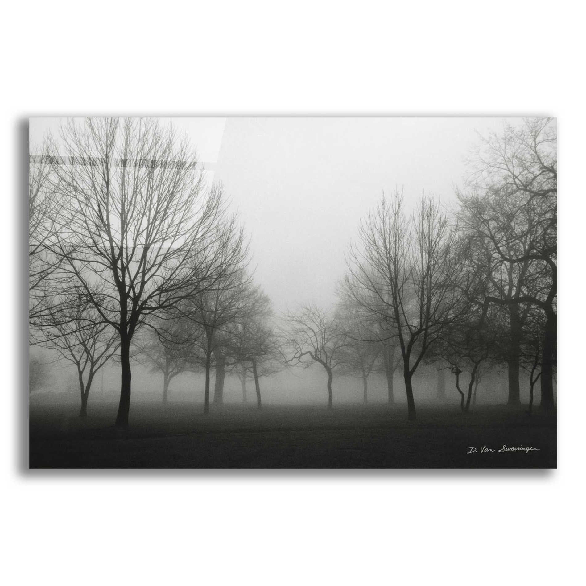 Epic Art 'Morning Mist' by Debra Van Swearingen, Acrylic Glass Wall Art,16x12