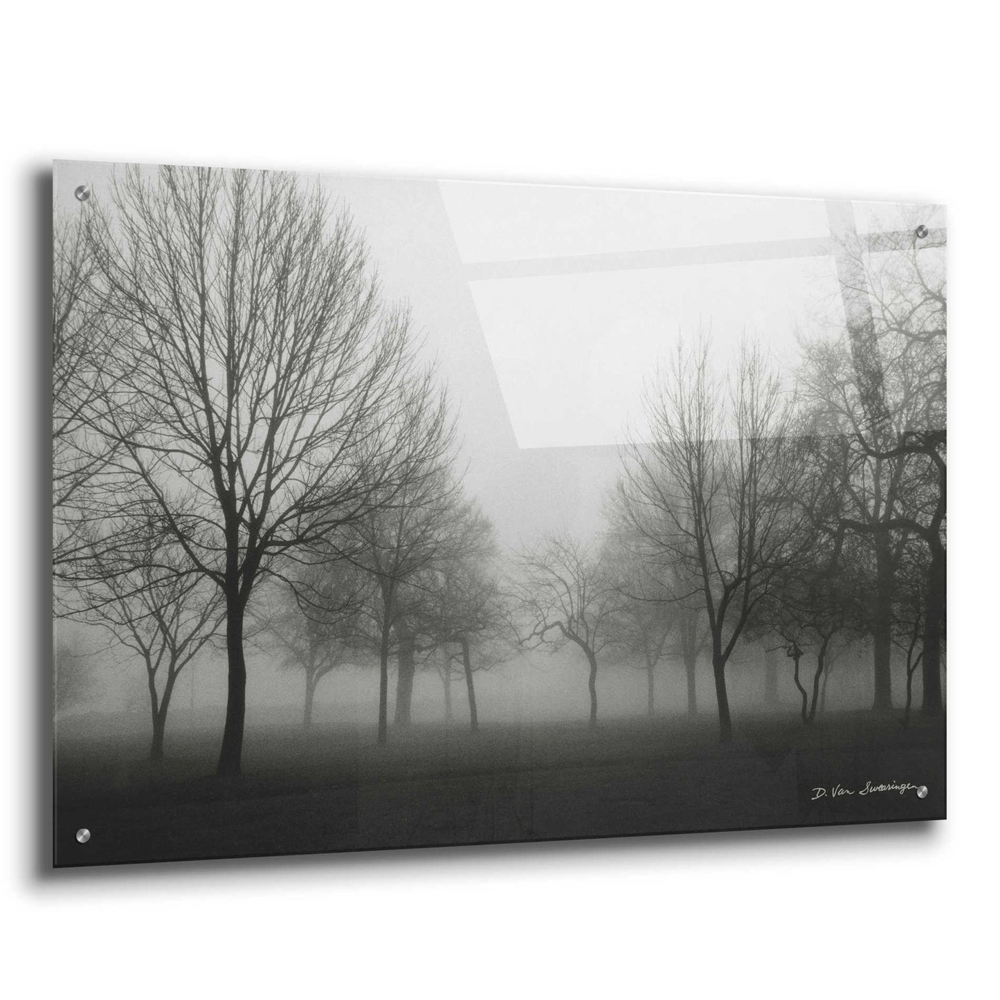 Epic Art 'Morning Mist' by Debra Van Swearingen, Acrylic Glass Wall Art,36x24