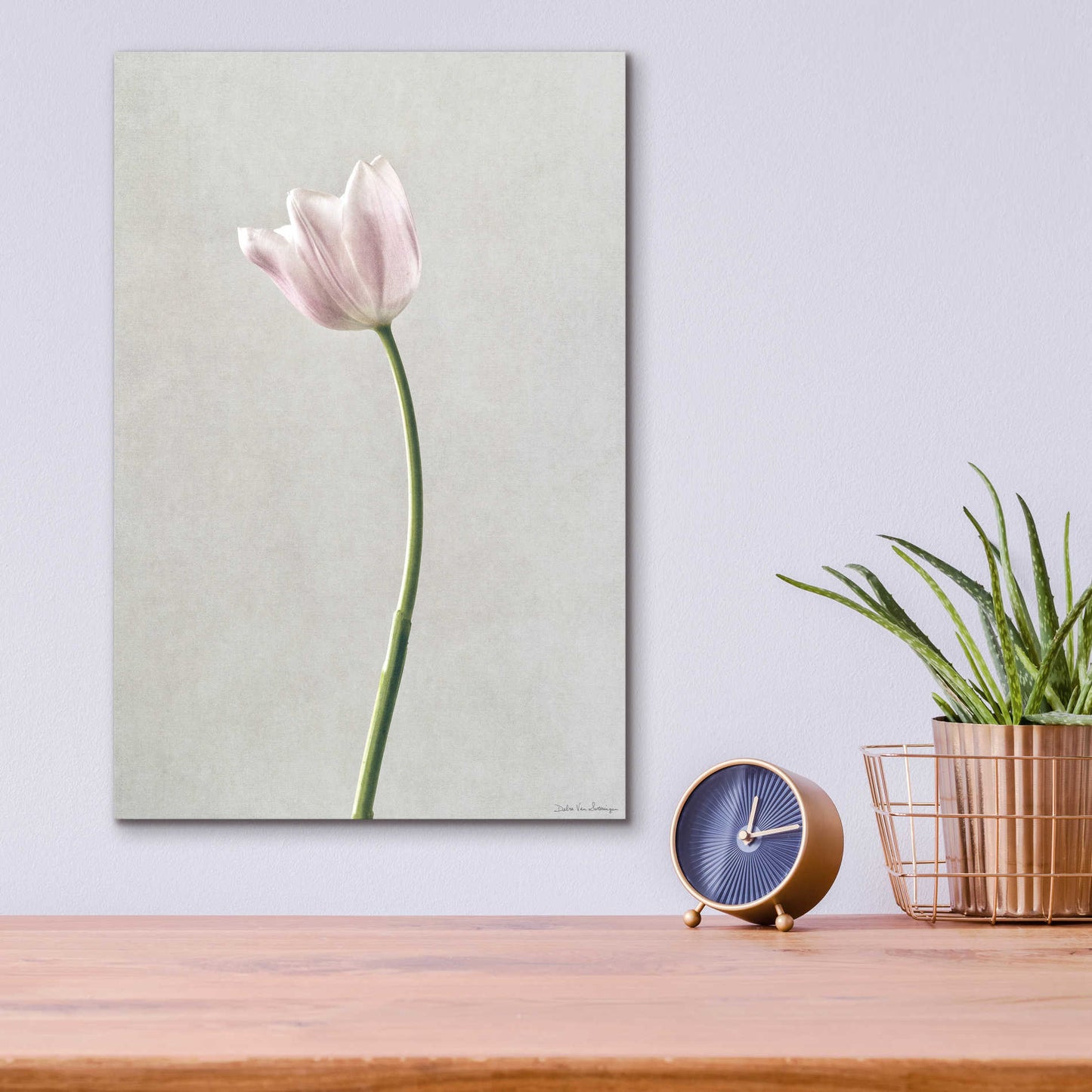 Epic Art 'Light Tulips I' by Debra Van Swearingen, Acrylic Glass Wall Art,12x16