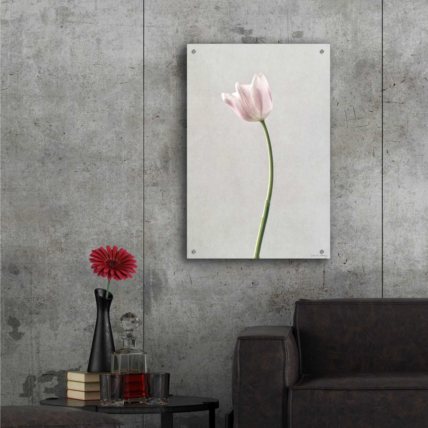 Epic Art 'Light Tulips I' by Debra Van Swearingen, Acrylic Glass Wall Art,24x36