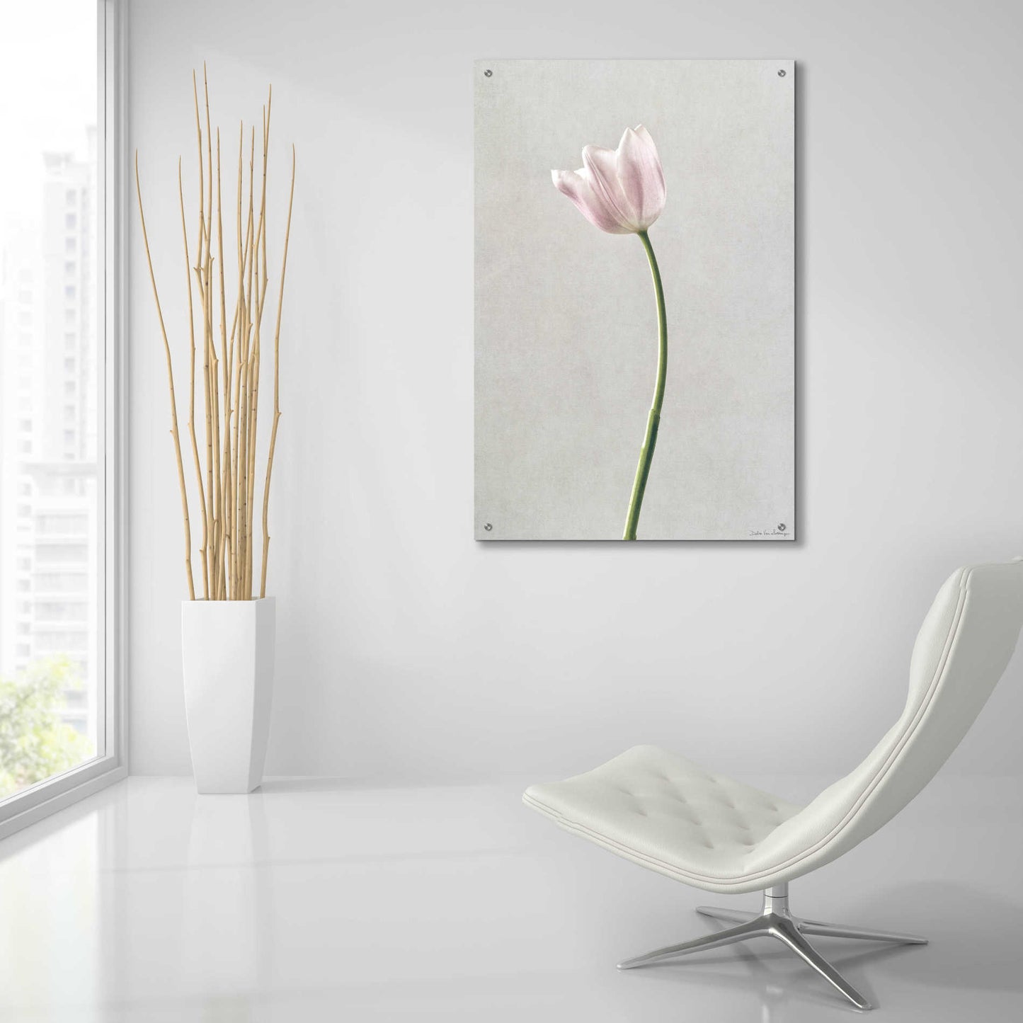 Epic Art 'Light Tulips I' by Debra Van Swearingen, Acrylic Glass Wall Art,24x36