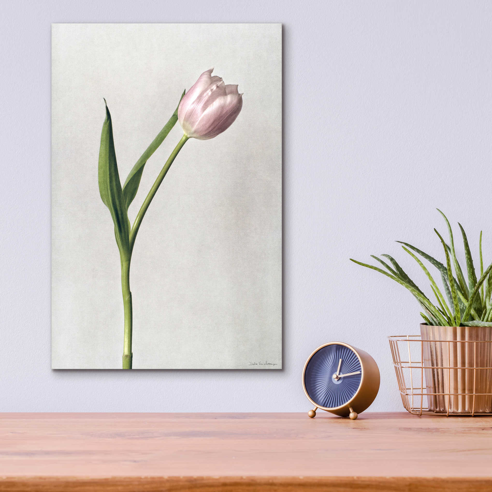 Epic Art 'Light Tulips II' by Debra Van Swearingen, Acrylic Glass Wall Art,12x16