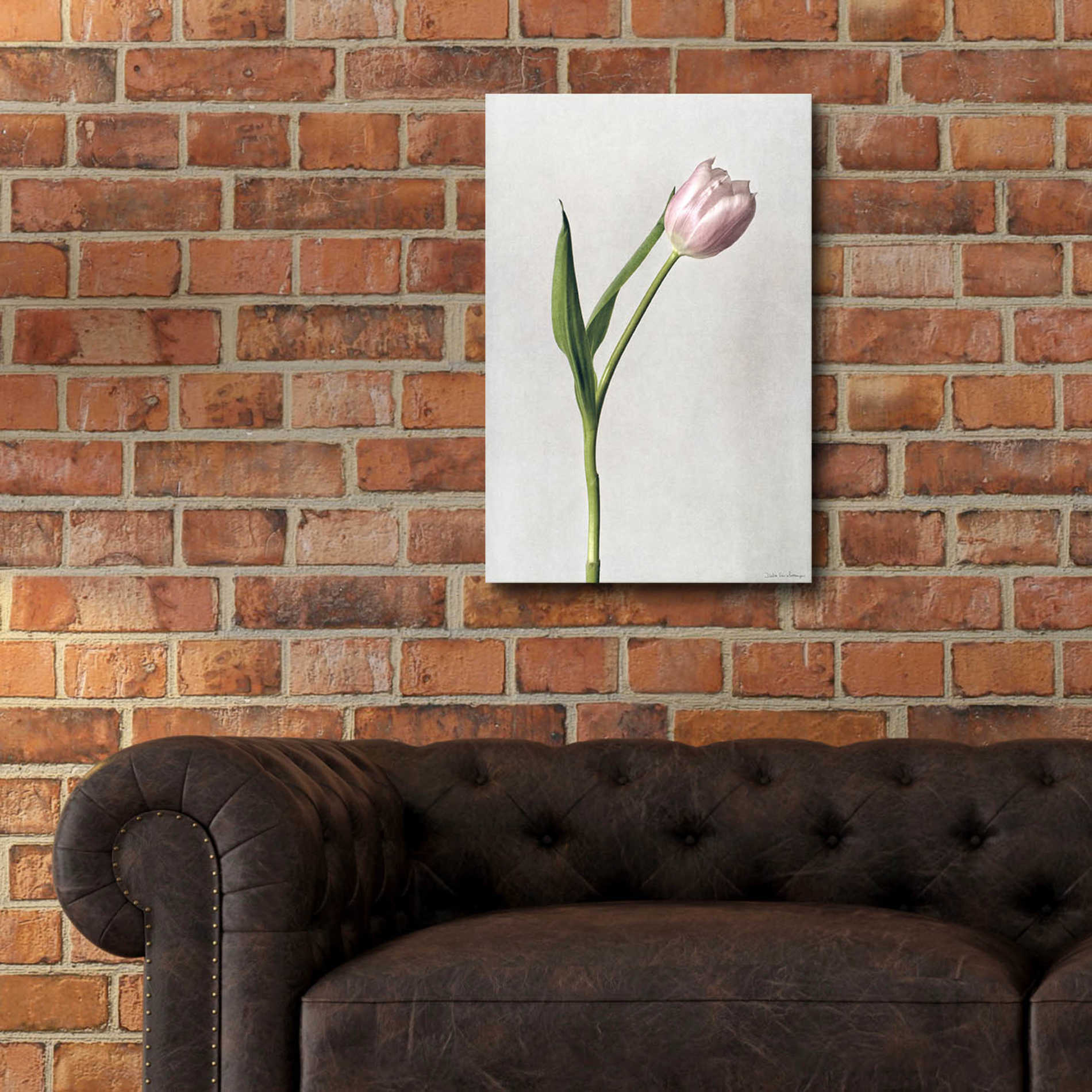 Epic Art 'Light Tulips II' by Debra Van Swearingen, Acrylic Glass Wall Art,16x24