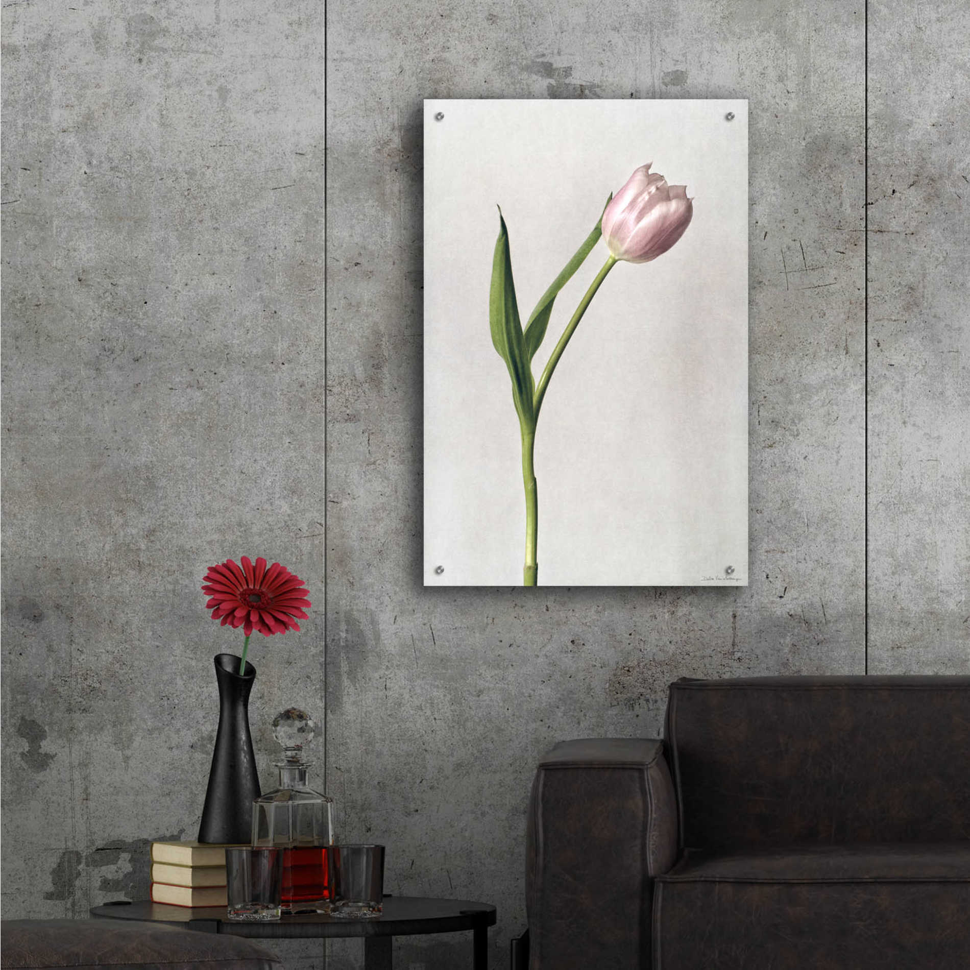 Epic Art 'Light Tulips II' by Debra Van Swearingen, Acrylic Glass Wall Art,24x36