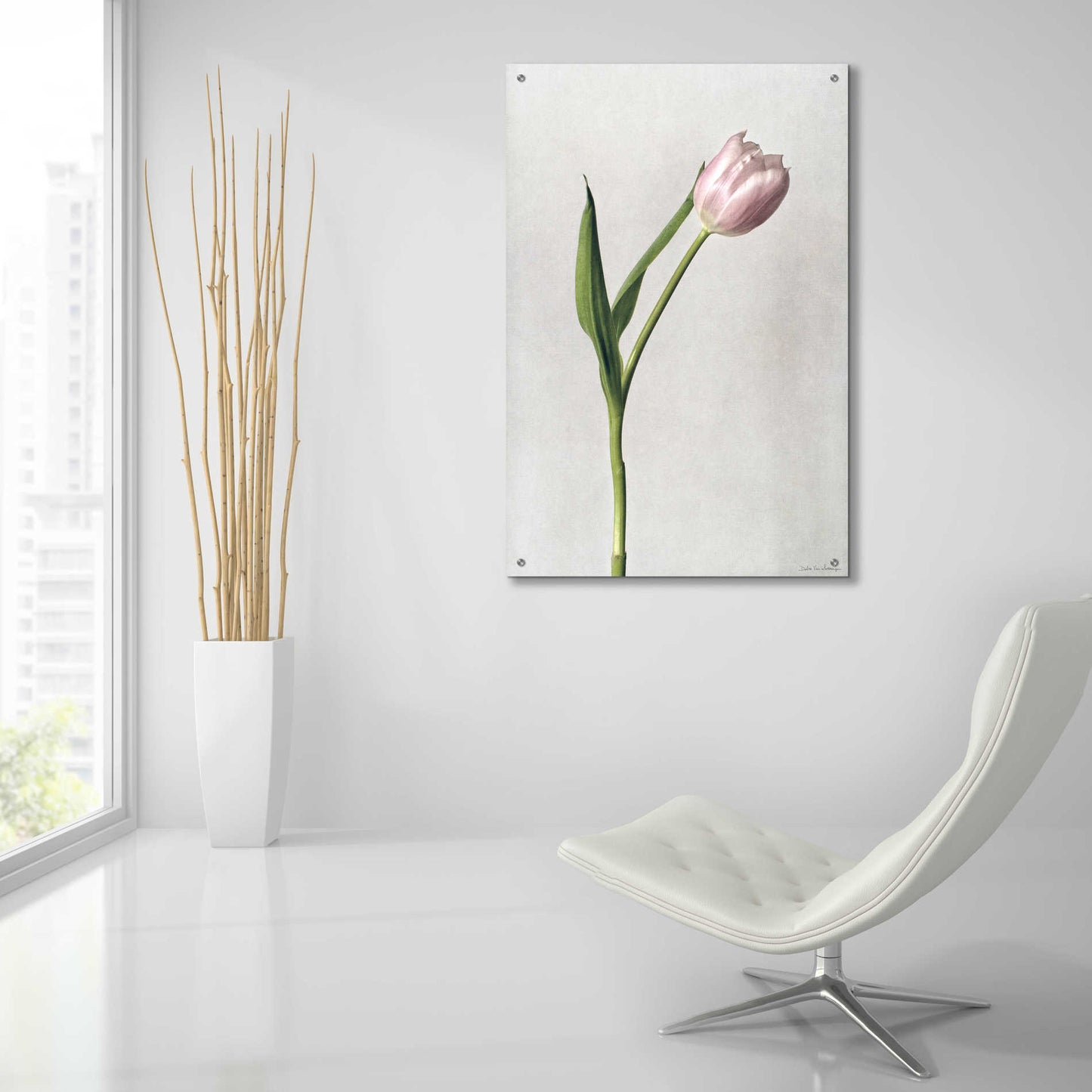 Epic Art 'Light Tulips II' by Debra Van Swearingen, Acrylic Glass Wall Art,24x36