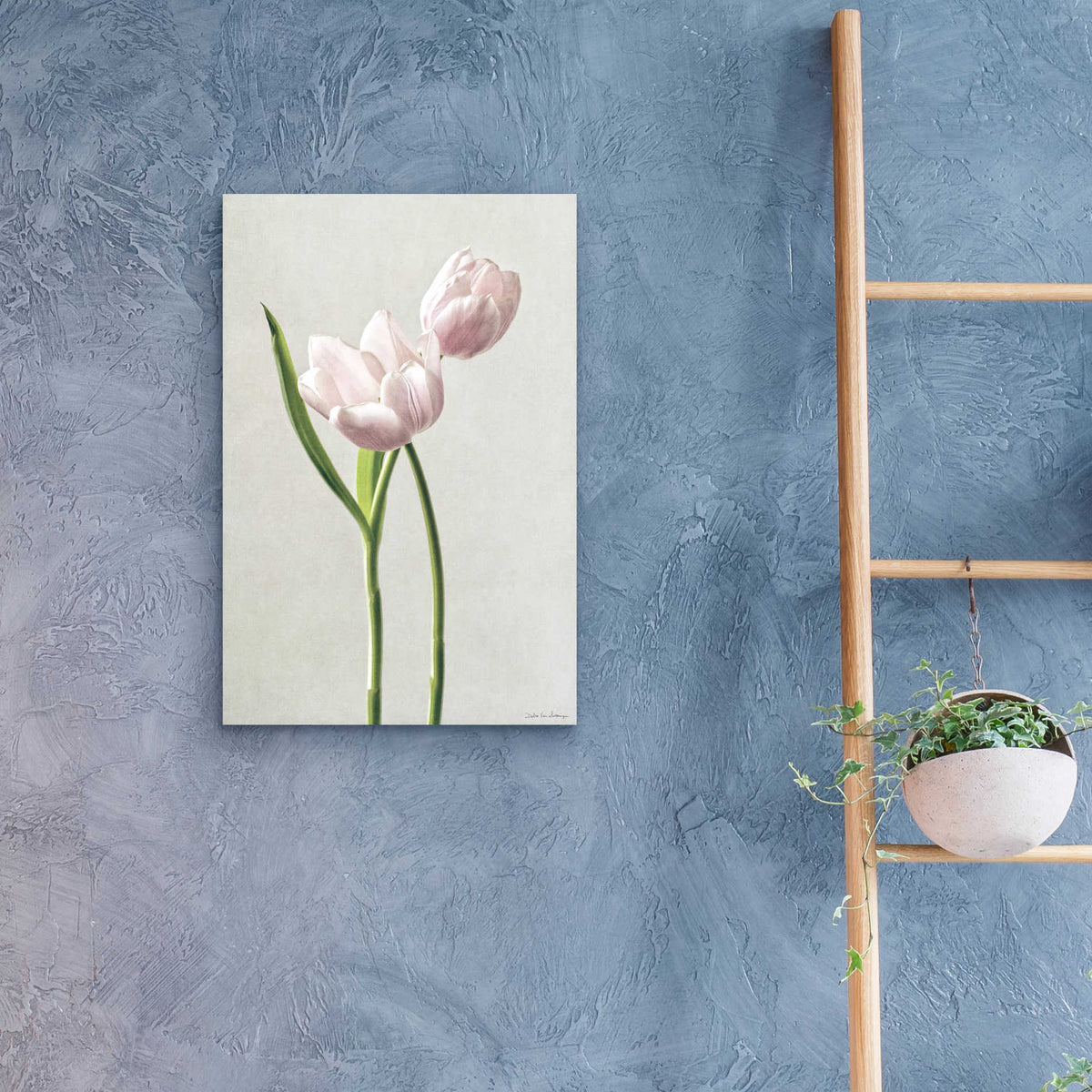 Epic Art 'Light Tulips III' by Debra Van Swearingen, Acrylic Glass Wall Art,16x24