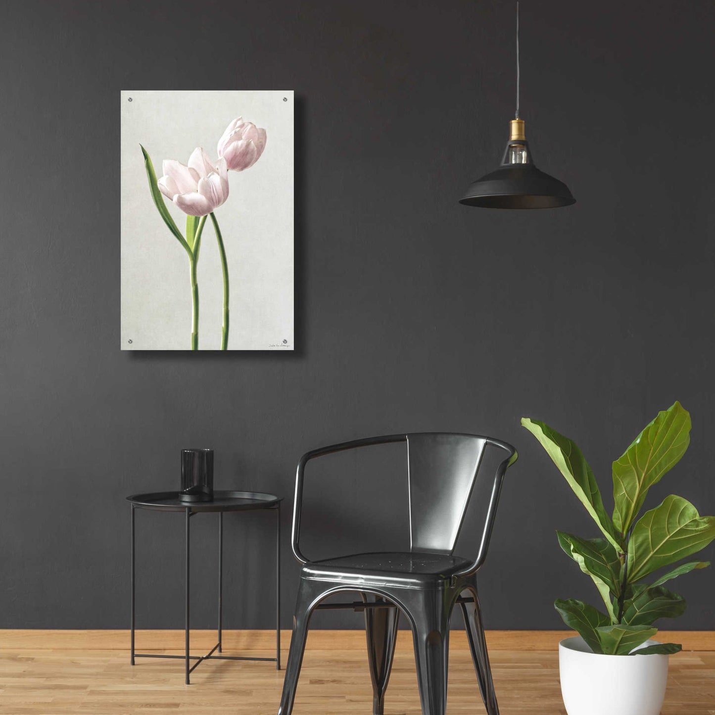 Epic Art 'Light Tulips III' by Debra Van Swearingen, Acrylic Glass Wall Art,24x36