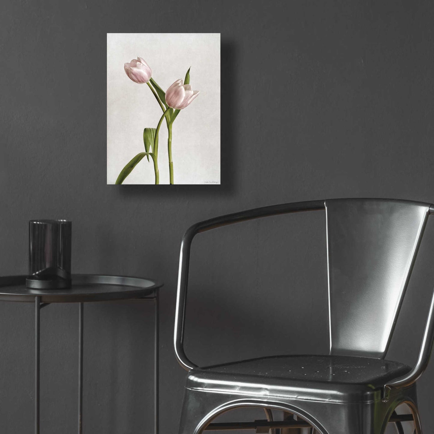 Epic Art 'Light Tulips IV' by Debra Van Swearingen, Acrylic Glass Wall Art,12x16