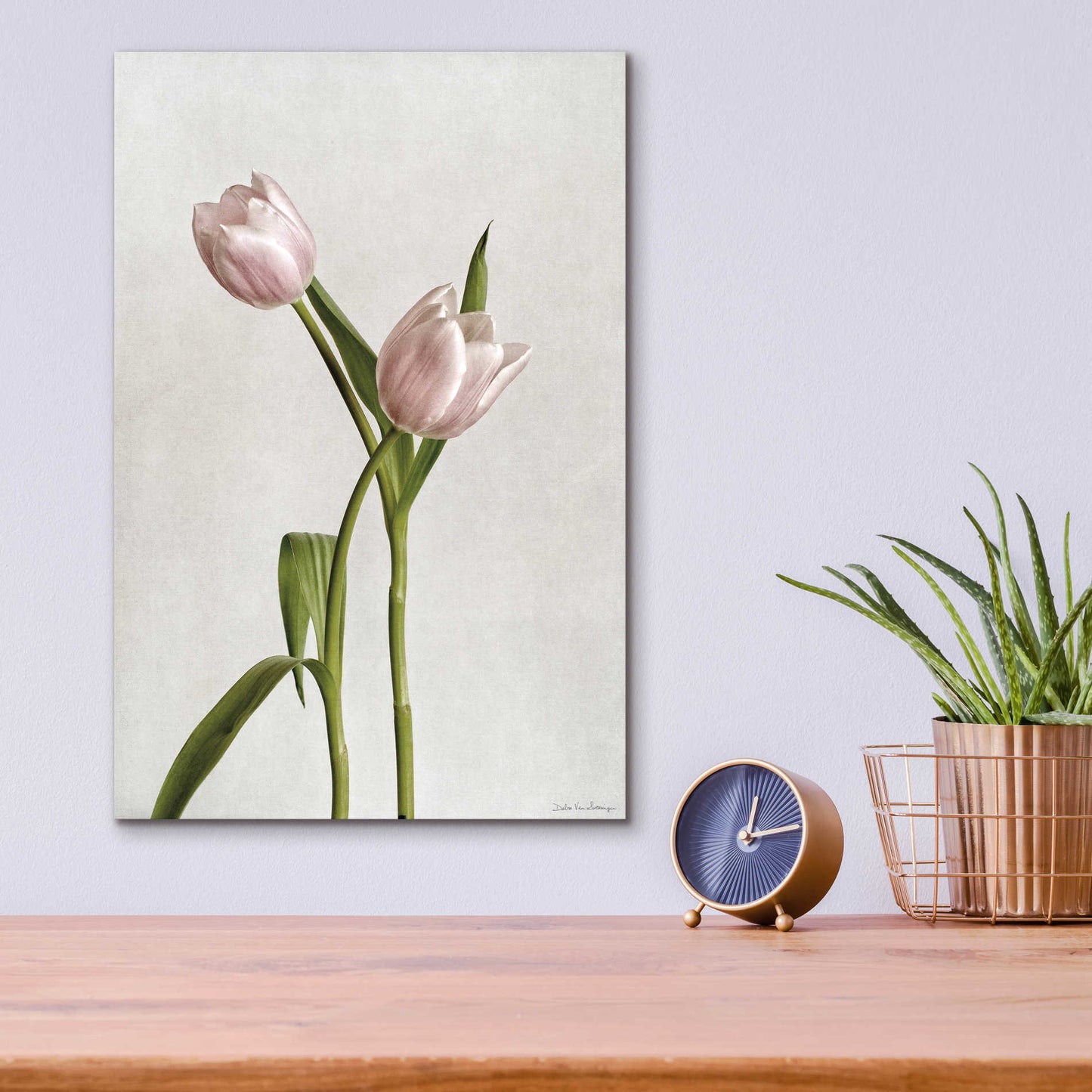 Epic Art 'Light Tulips IV' by Debra Van Swearingen, Acrylic Glass Wall Art,12x16