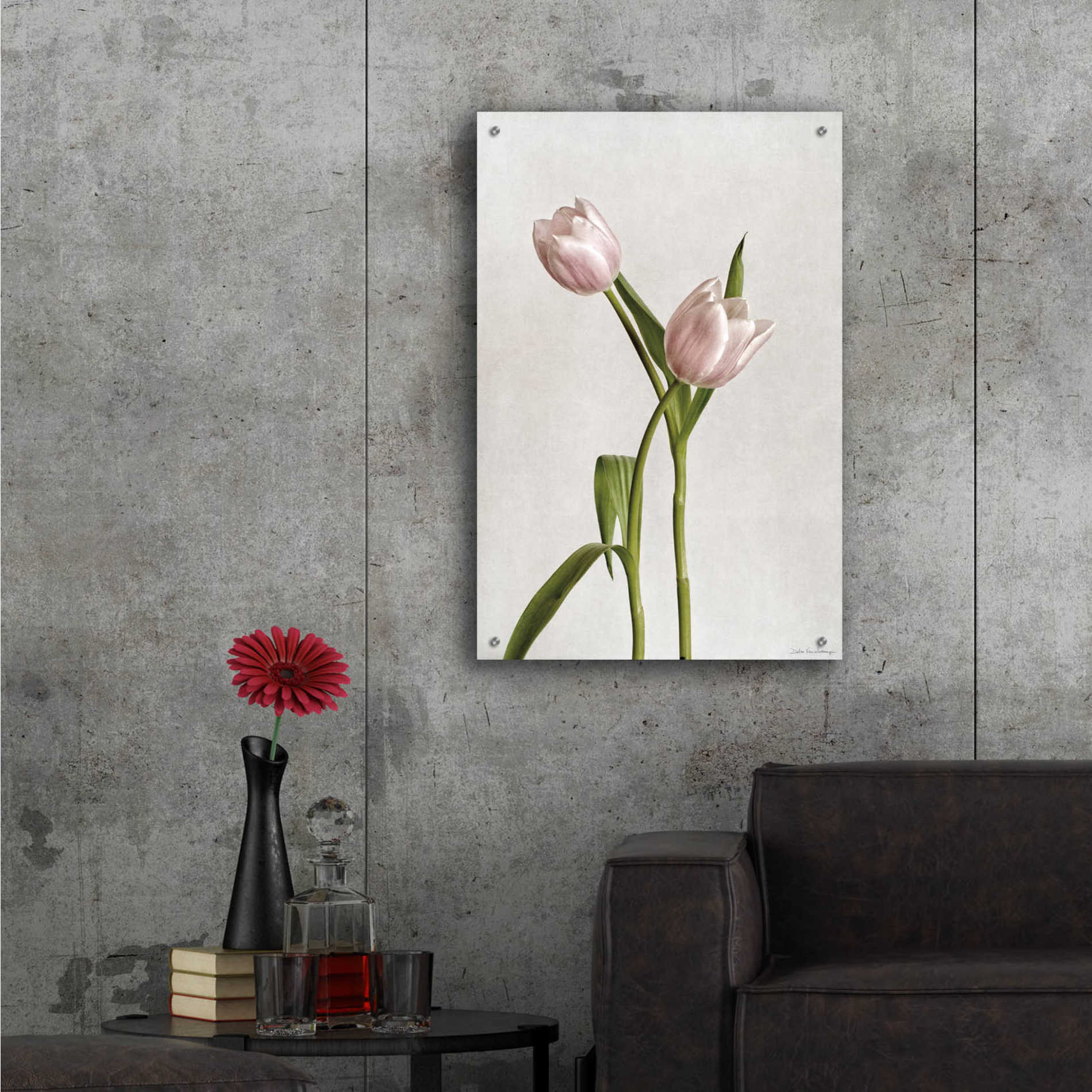 Epic Art 'Light Tulips IV' by Debra Van Swearingen, Acrylic Glass Wall Art,24x36