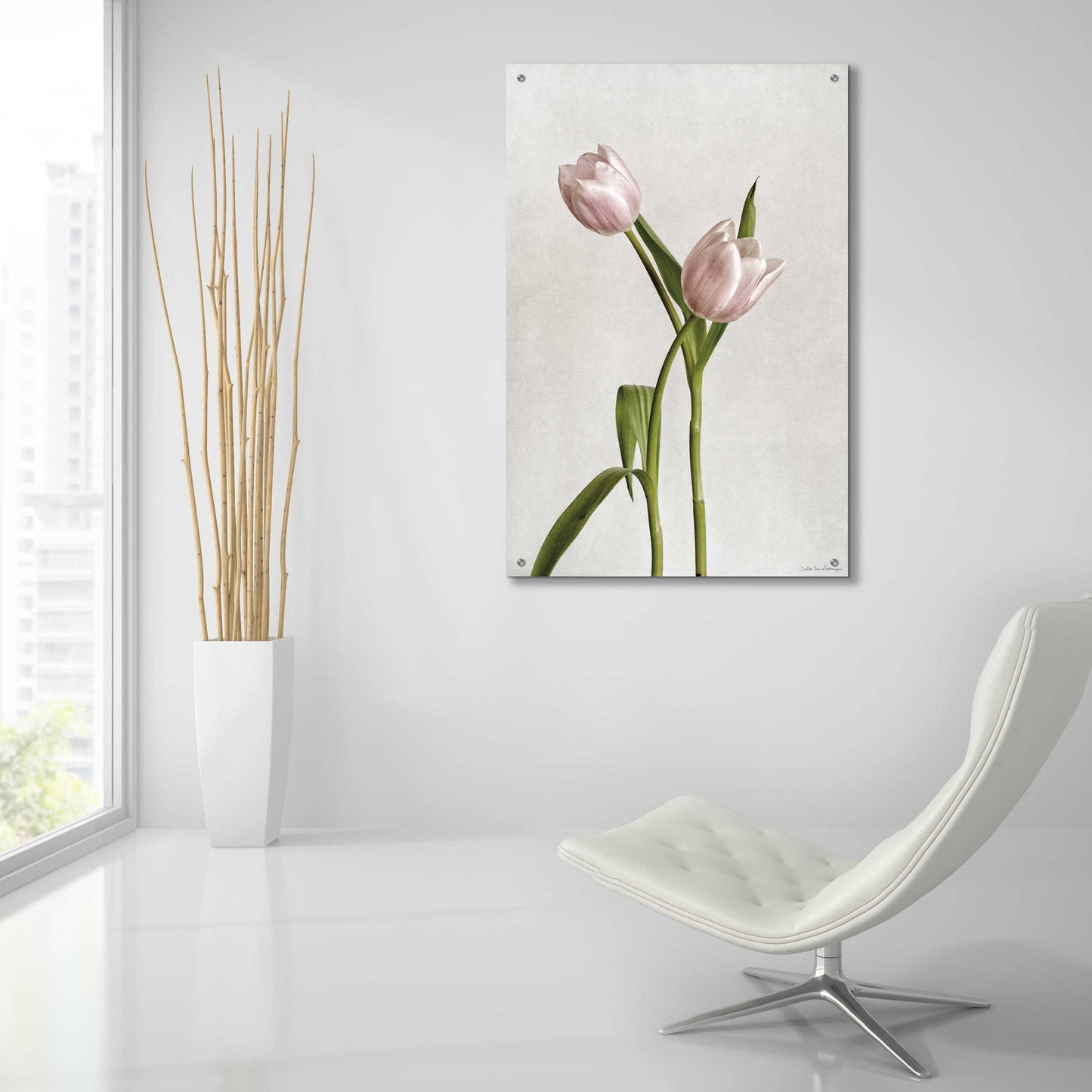 Epic Art 'Light Tulips IV' by Debra Van Swearingen, Acrylic Glass Wall Art,24x36