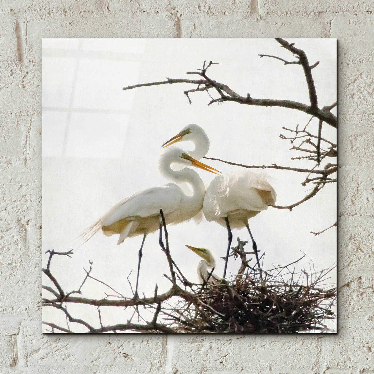 Epic Art 'Devotion' by Debra Van Swearingen, Acrylic Glass Wall Art,12x12