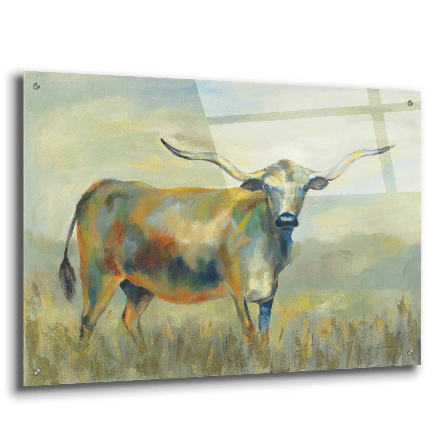 Epic Art 'Colorful Longhorn Cow' by Silvia Vassileva, Acrylic Glass Wall Art,36x24