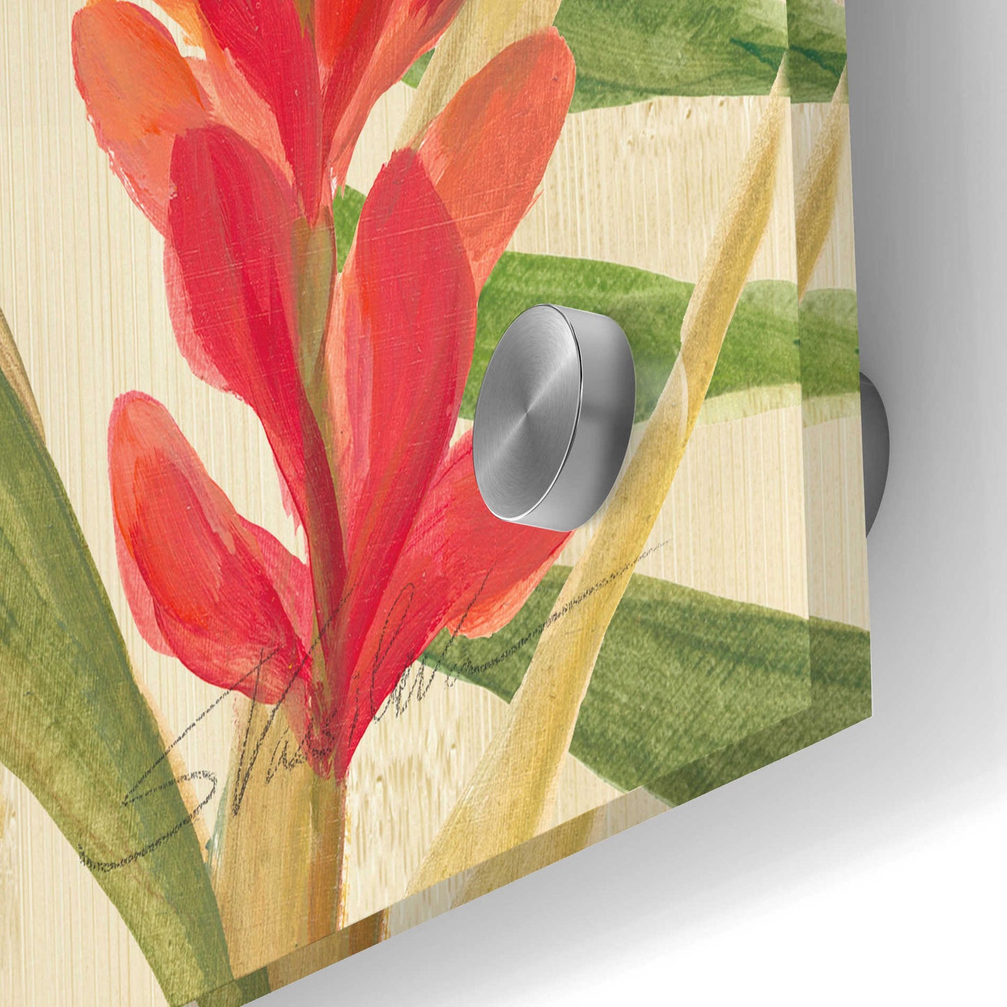 Epic Art 'Tropical Garden IX' by Silvia Vassileva, Acrylic Glass Wall Art,24x36